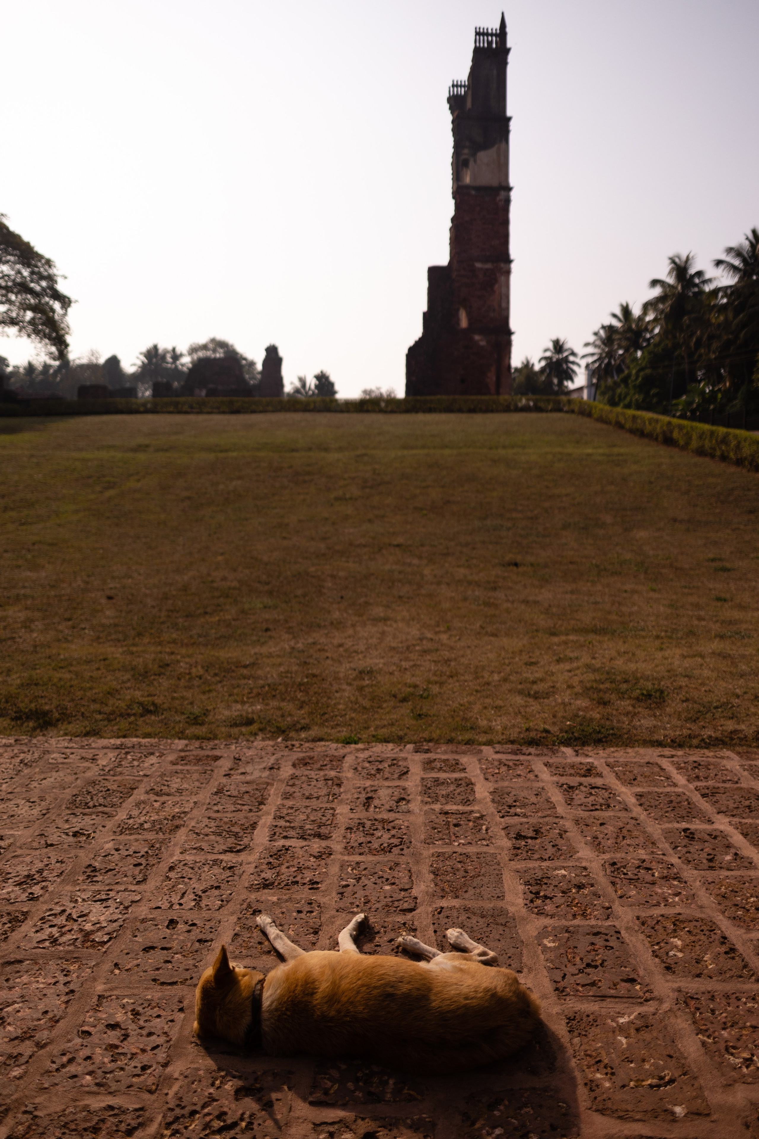 ГОА 2024. Руслан Плахтеев