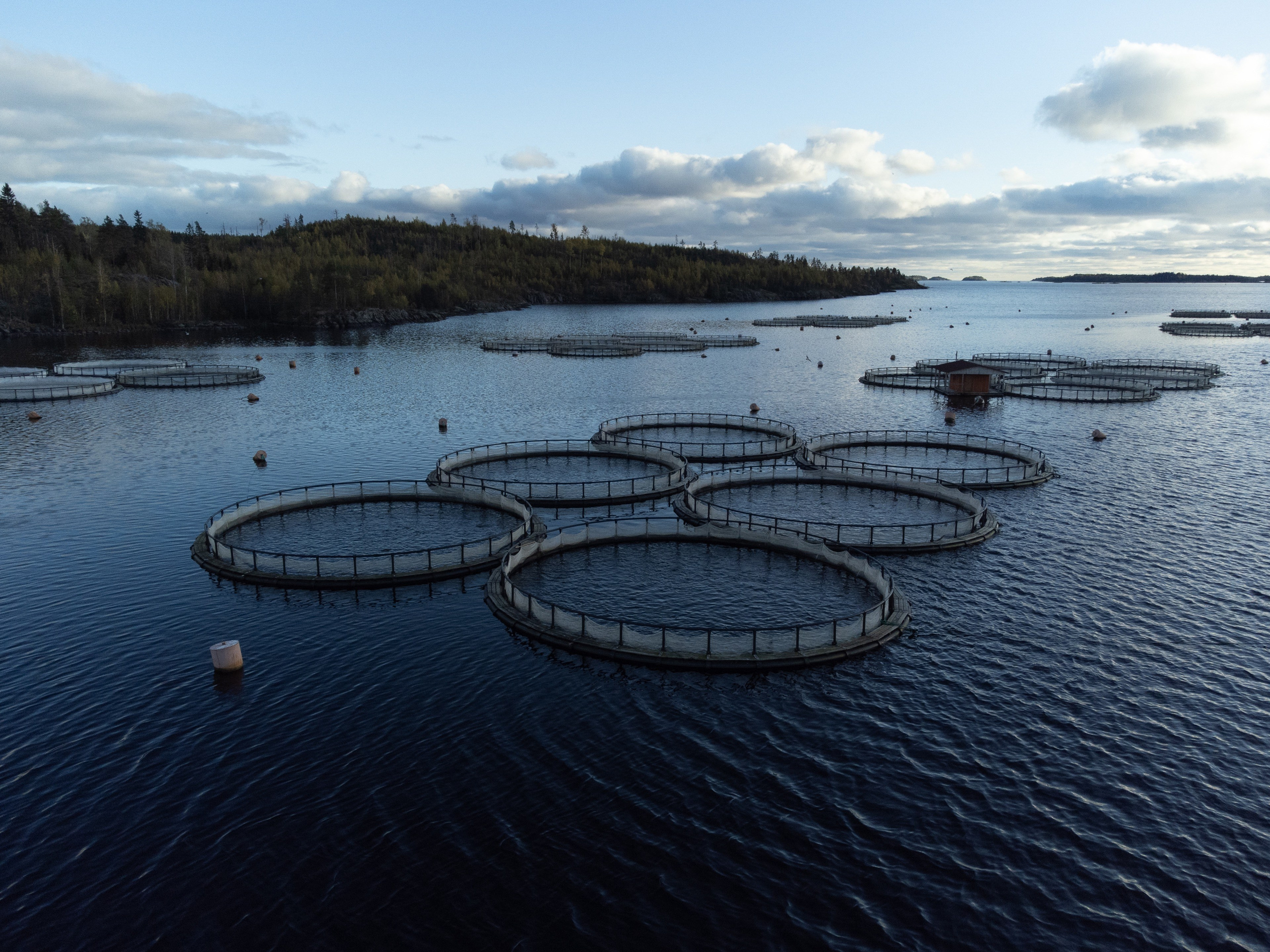 Kala-Ranta Trout Farm. Commercial photographer | Anton Ermakov