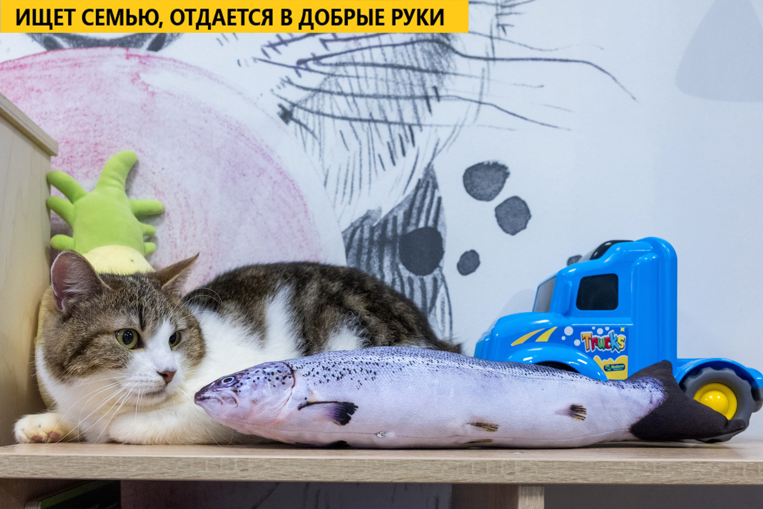 Рекламная съемка в Москве. Геннадий Степанов —фотограф в Москве
