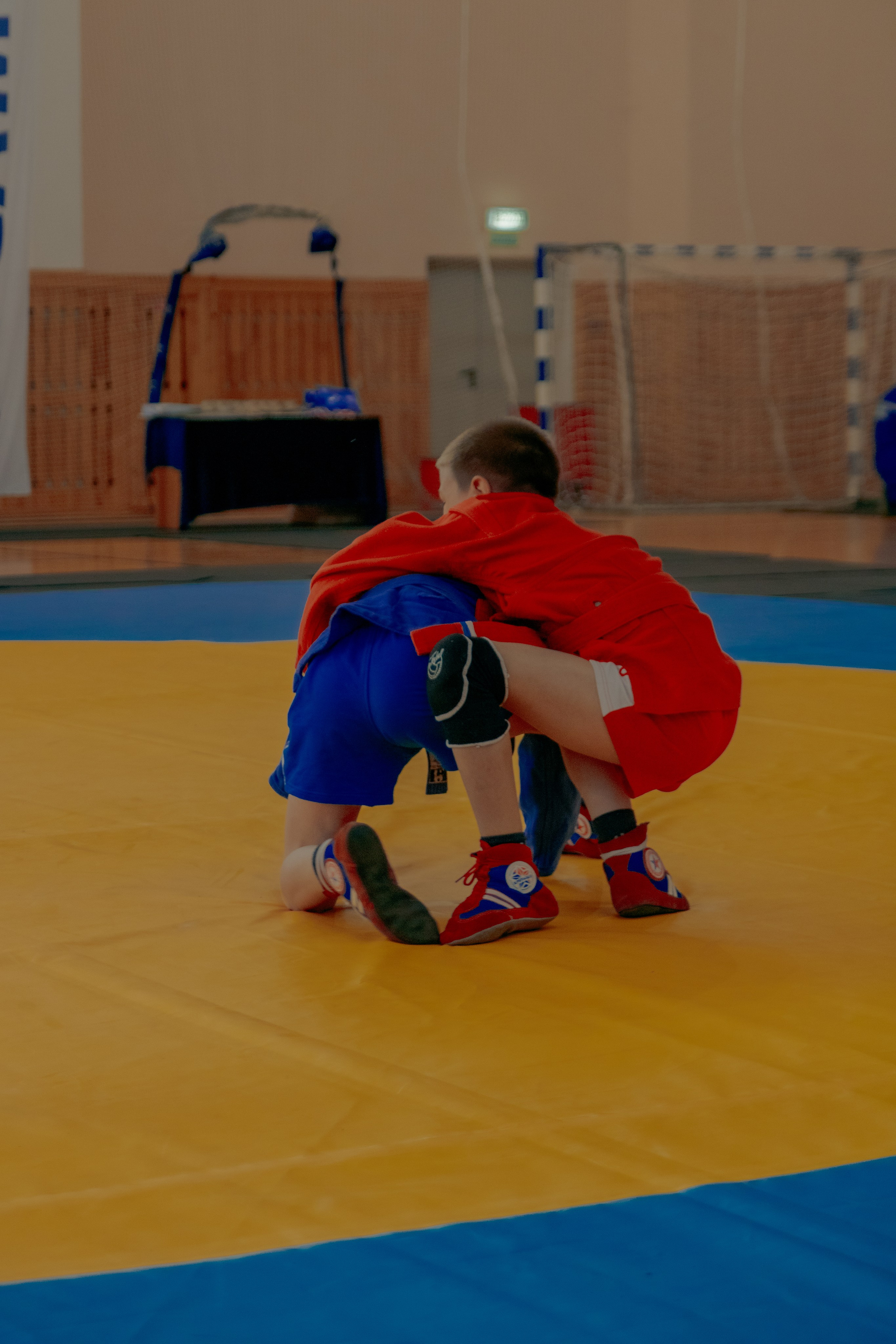 Самбо город Ишим