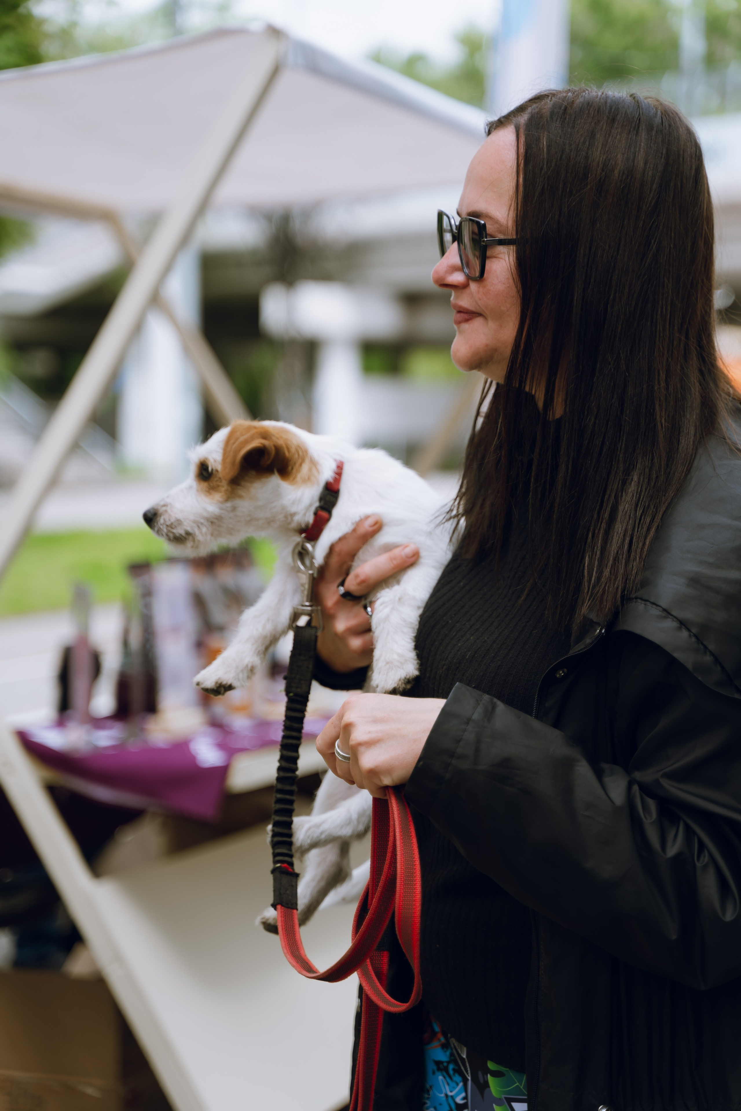 Площадка фестиваля «Мампус и его друзья» в Лесопарке 2025. Фотограф Надежда Погребняк | Рязань | Москва