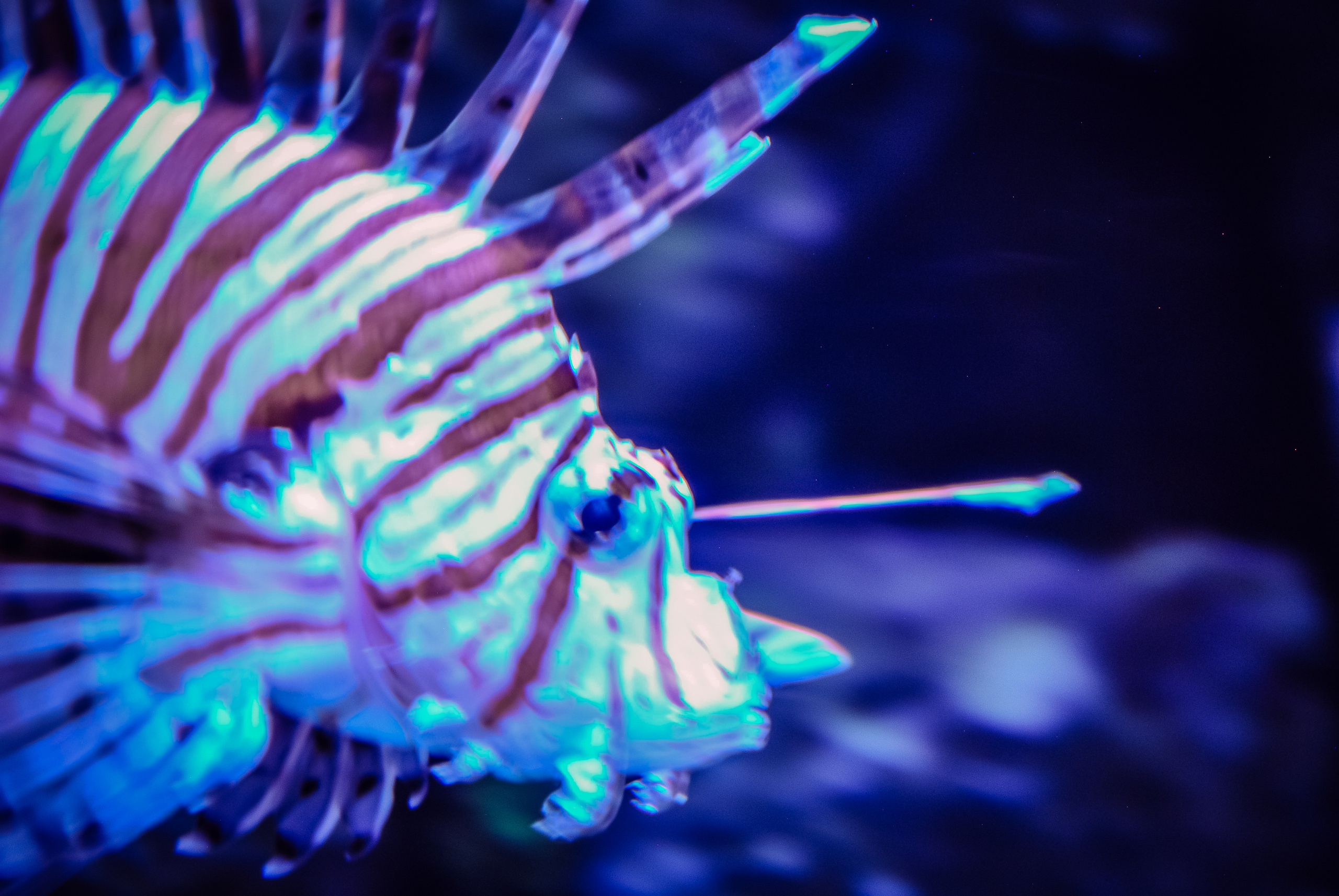 Аквапарк. Портретный фотограф DanilNabody