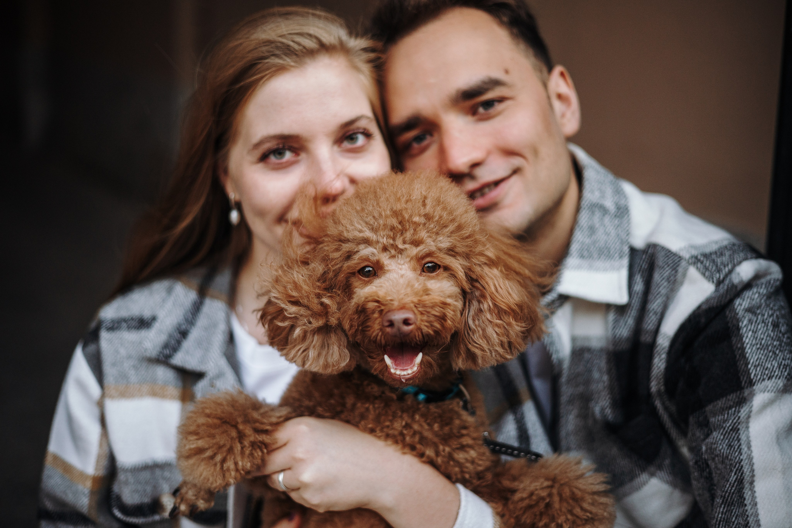 Барни и его семья. Фотограф — Анималист | Санкт-Петербург