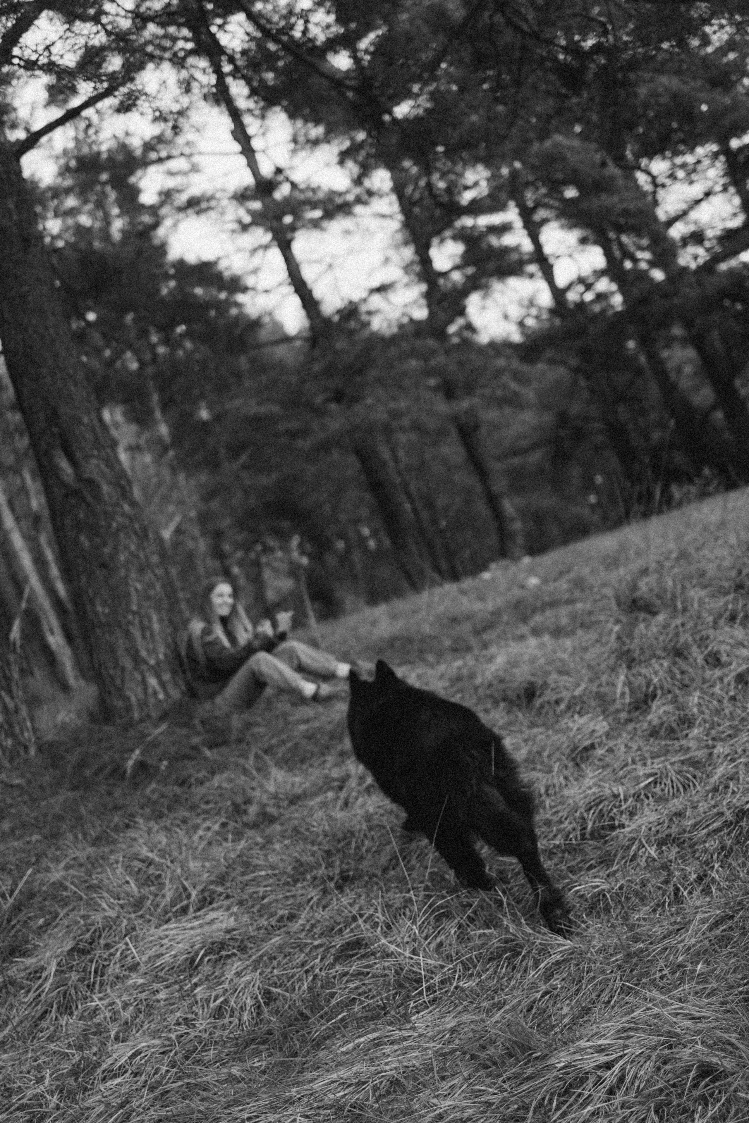 Лора и Джанго. Фотограф — Анималист | Санкт-Петербург