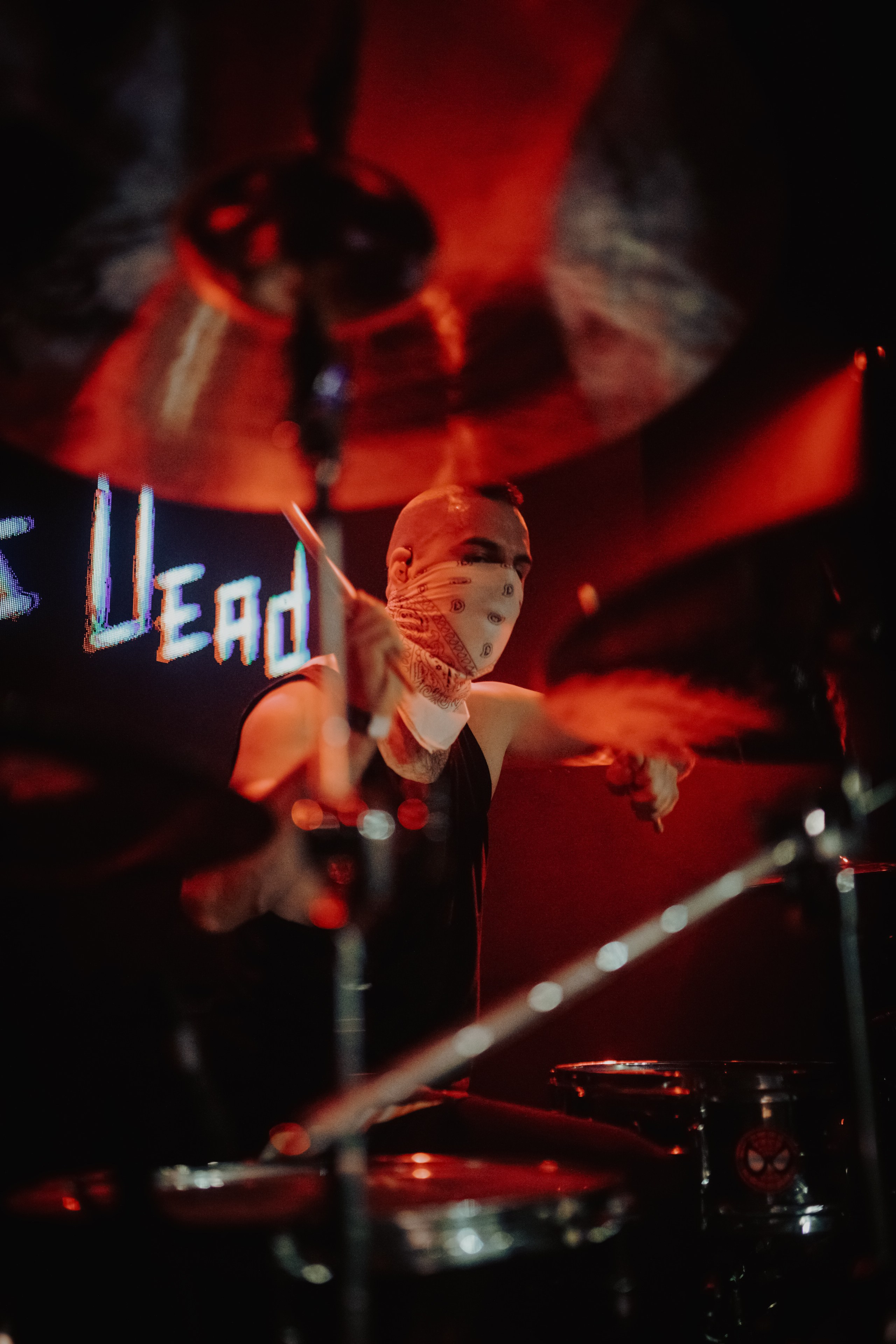 THE KAT IS DEAD. Фотограф Елена Богачева (lenalena_na_na_na)