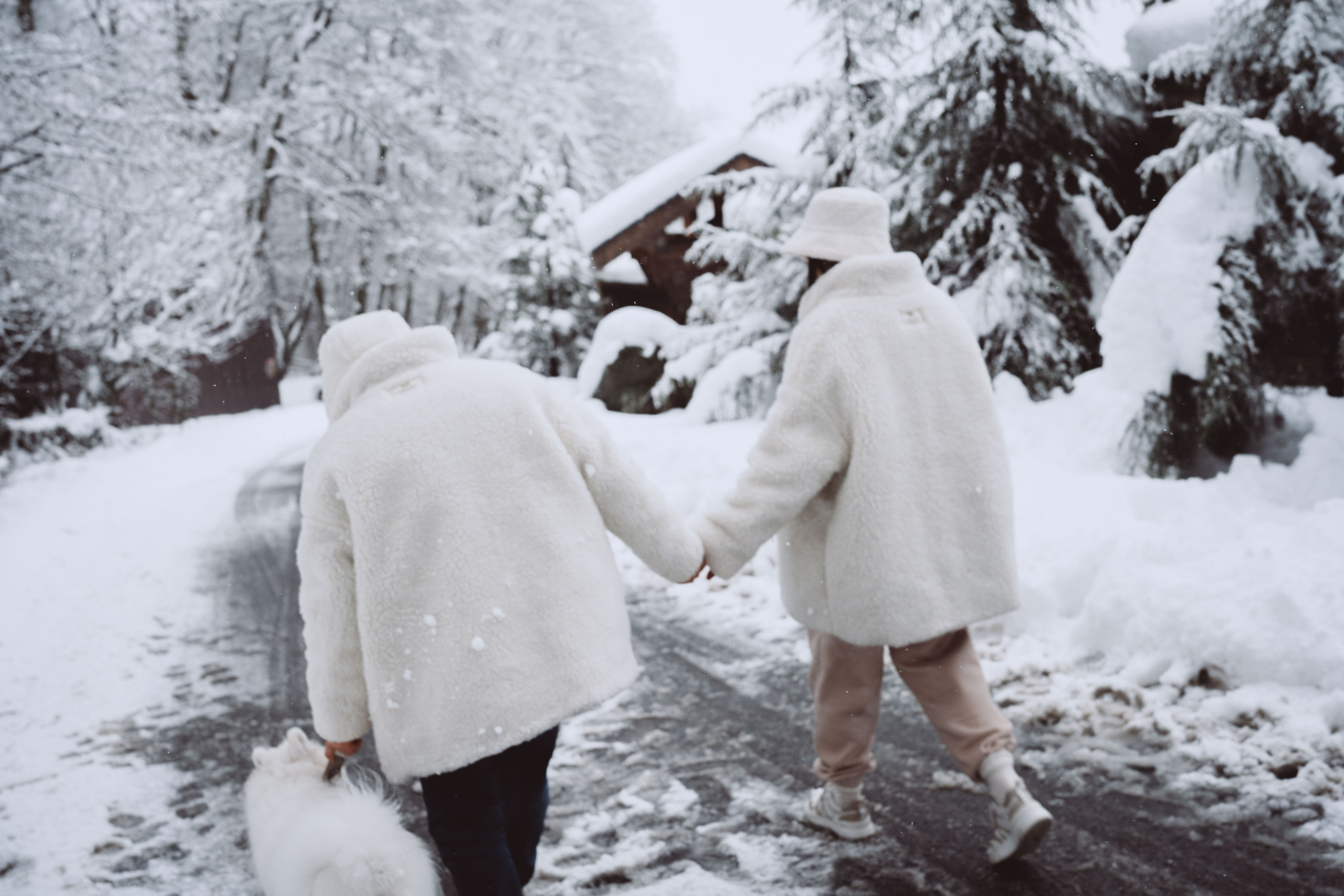 Антон, Дарья и Шани. Фотограф в Сочи Щетинина Анастасия