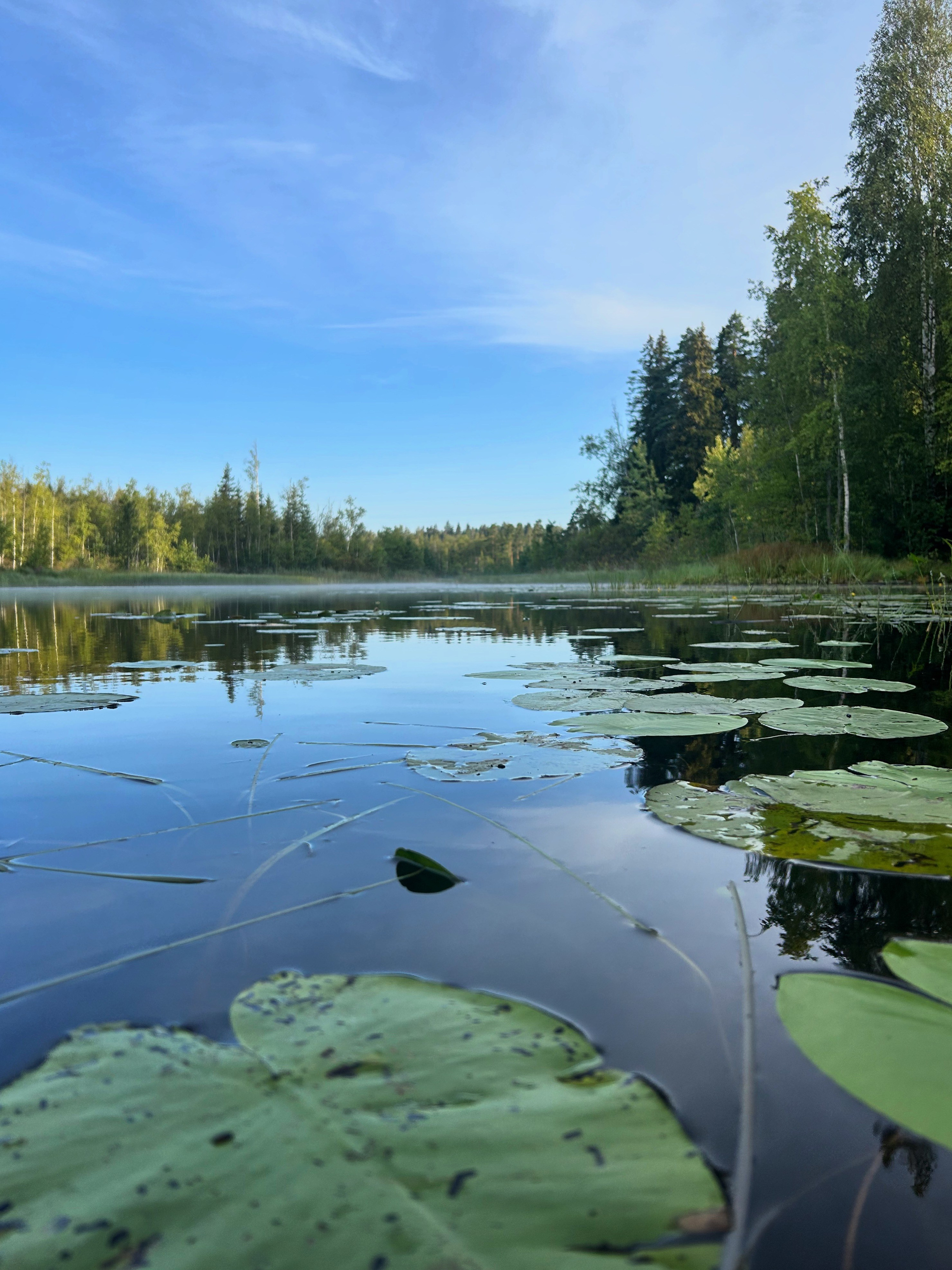 Природа. Фотокружок «Видоискатель» ГБОУ СОШ № 291