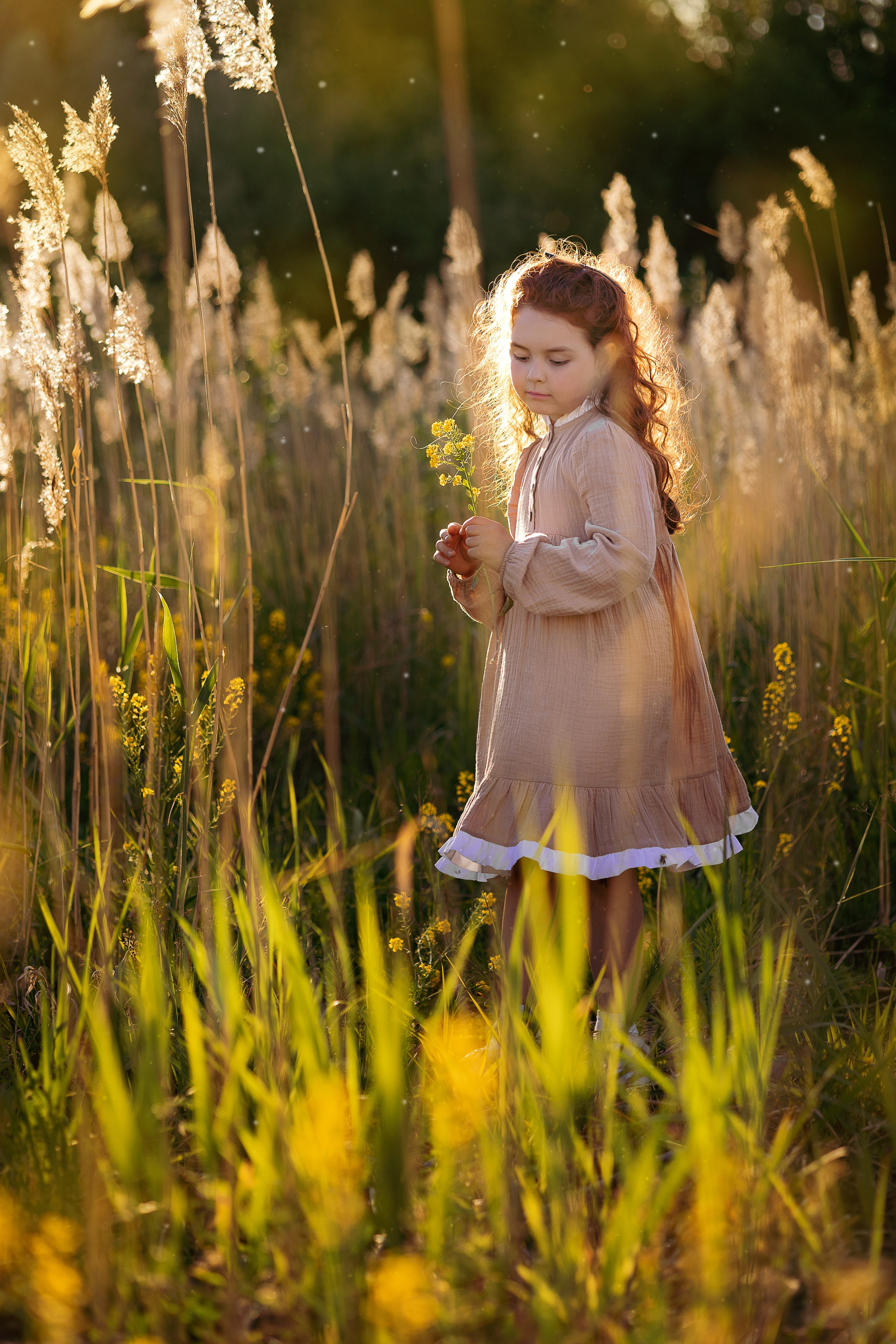 Цветочные фотопрогулки. Выпускные альбомы. Школьный и семейный фотограф Виктория Игнатьева