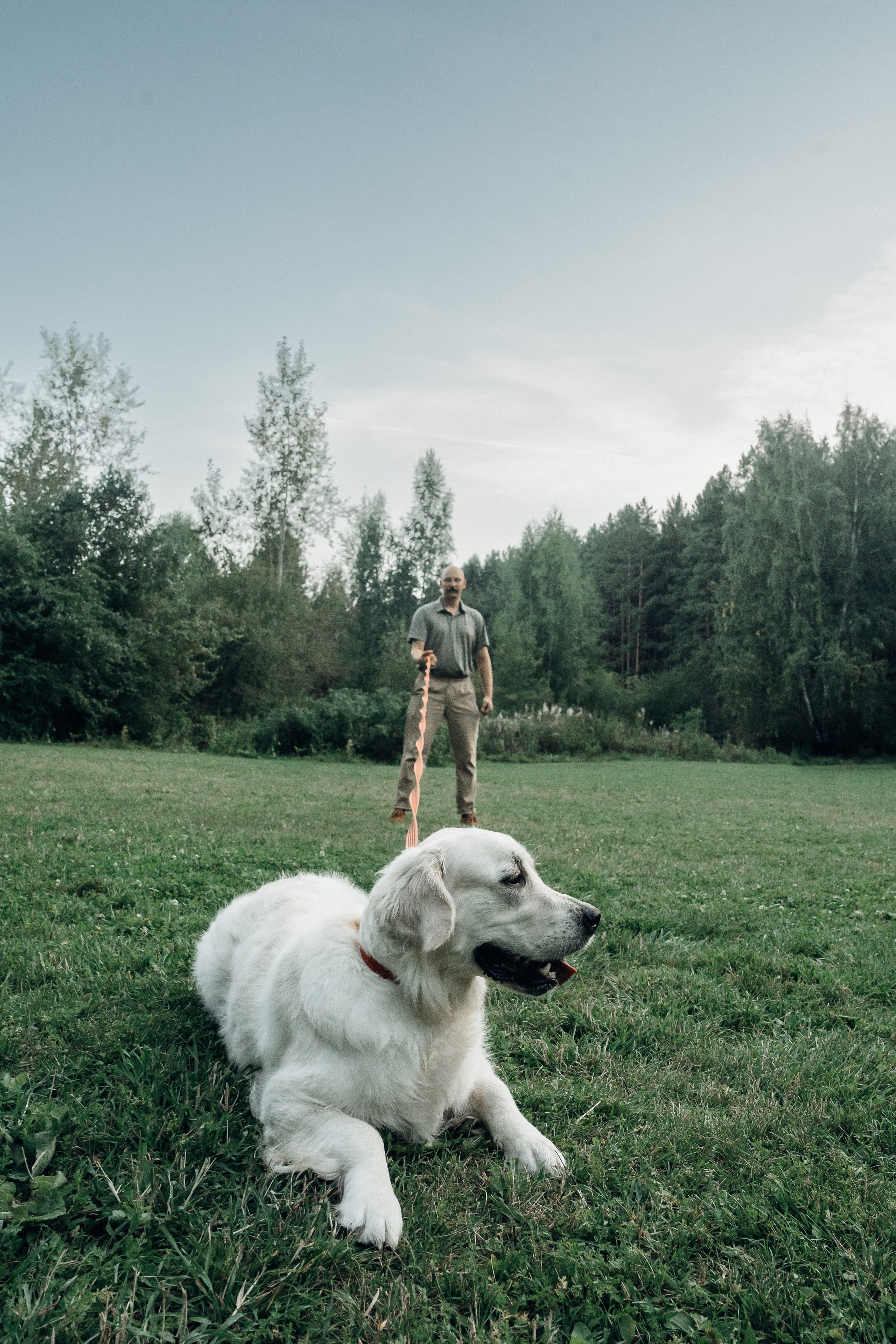 Светлана и Джесси. Фотограф и видеограф в Тюмени Екатерина Чернецкая