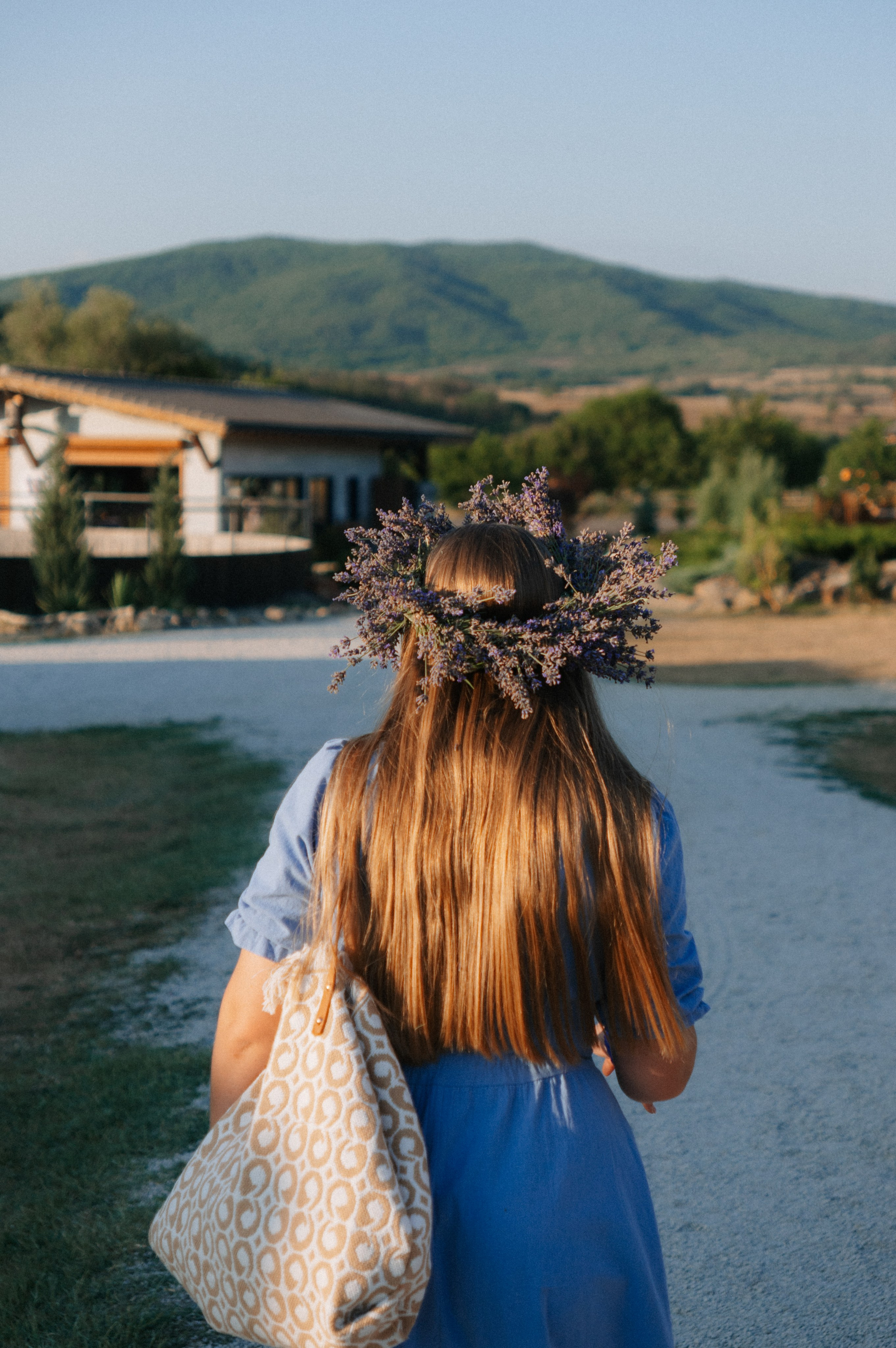 Сбор урожая | лавандовая ферма Viva Lavanda. Обо мне