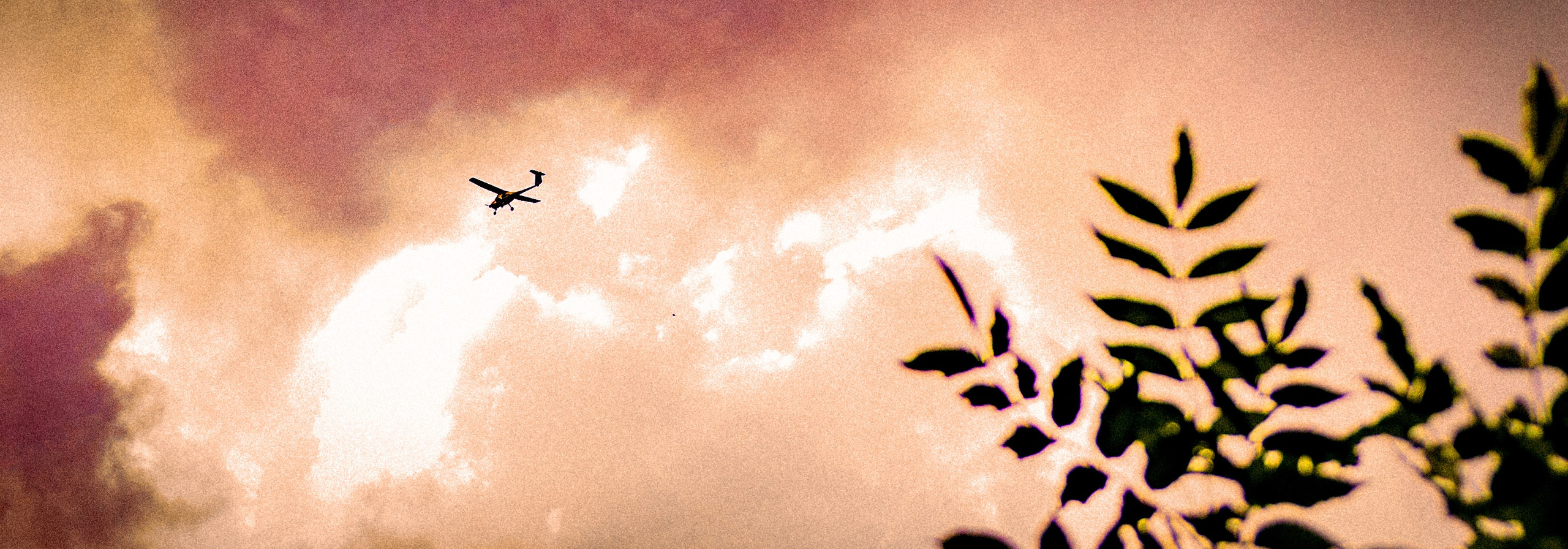 Фотограф в Санкт-Петербурге Тимофей Орлов