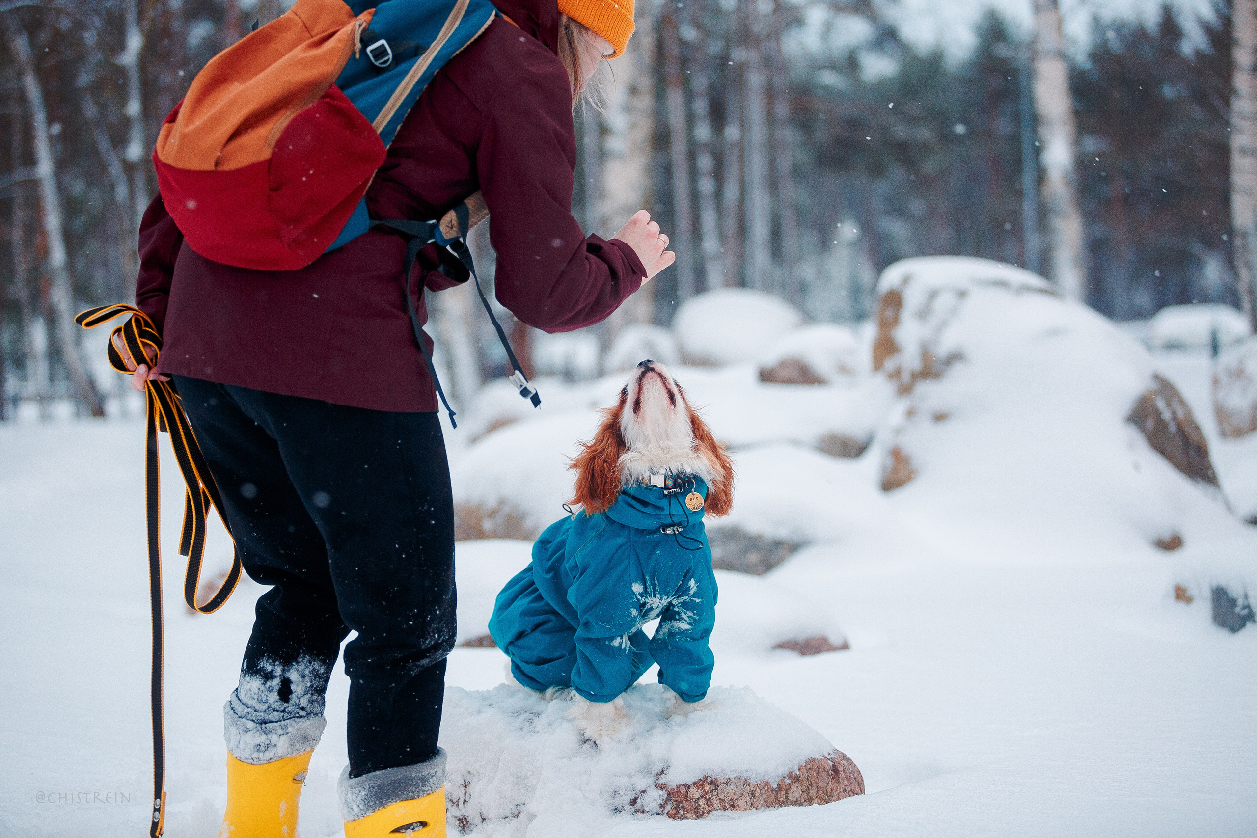 Внезапно апрельская зима. Фотограф-анималист Наталия Чистюхина в г. Сосновый Бор и ЛО