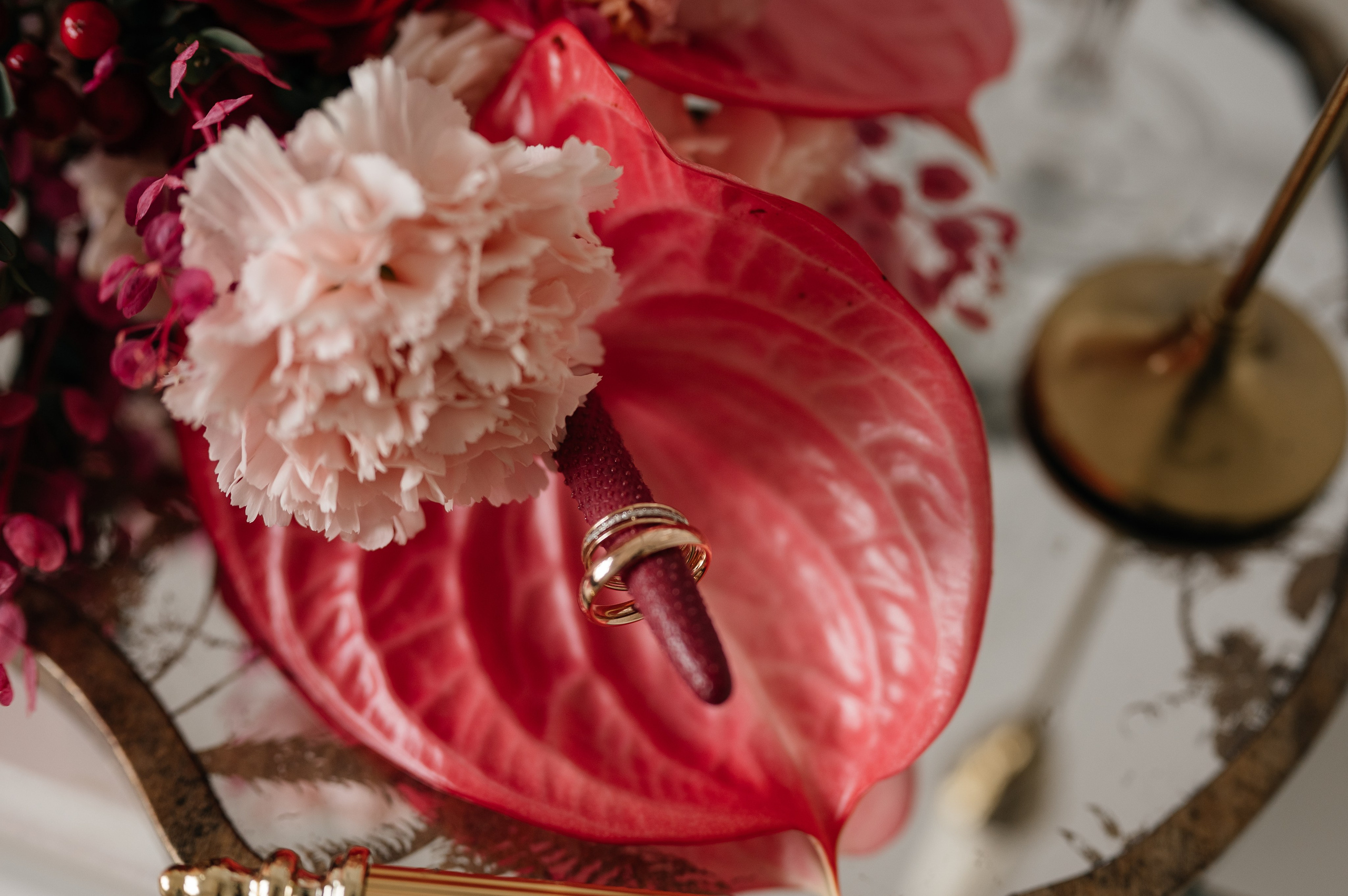 Андрей и Олеся. Свадебный и семейный фотограф в Краснодаре Алина Мельник