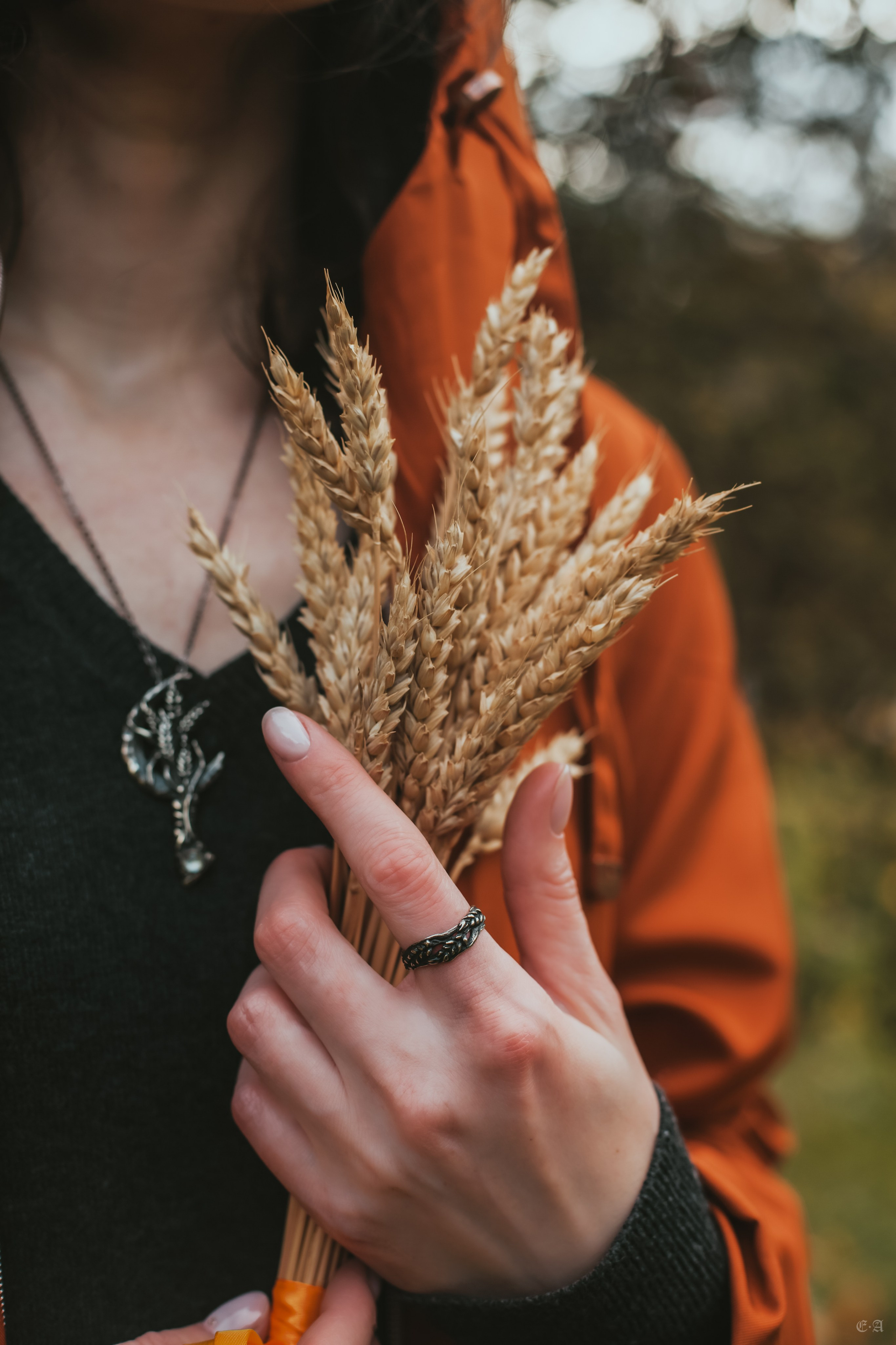 Осенние колосья для Белой Волчицы. Фотограф Ellairen