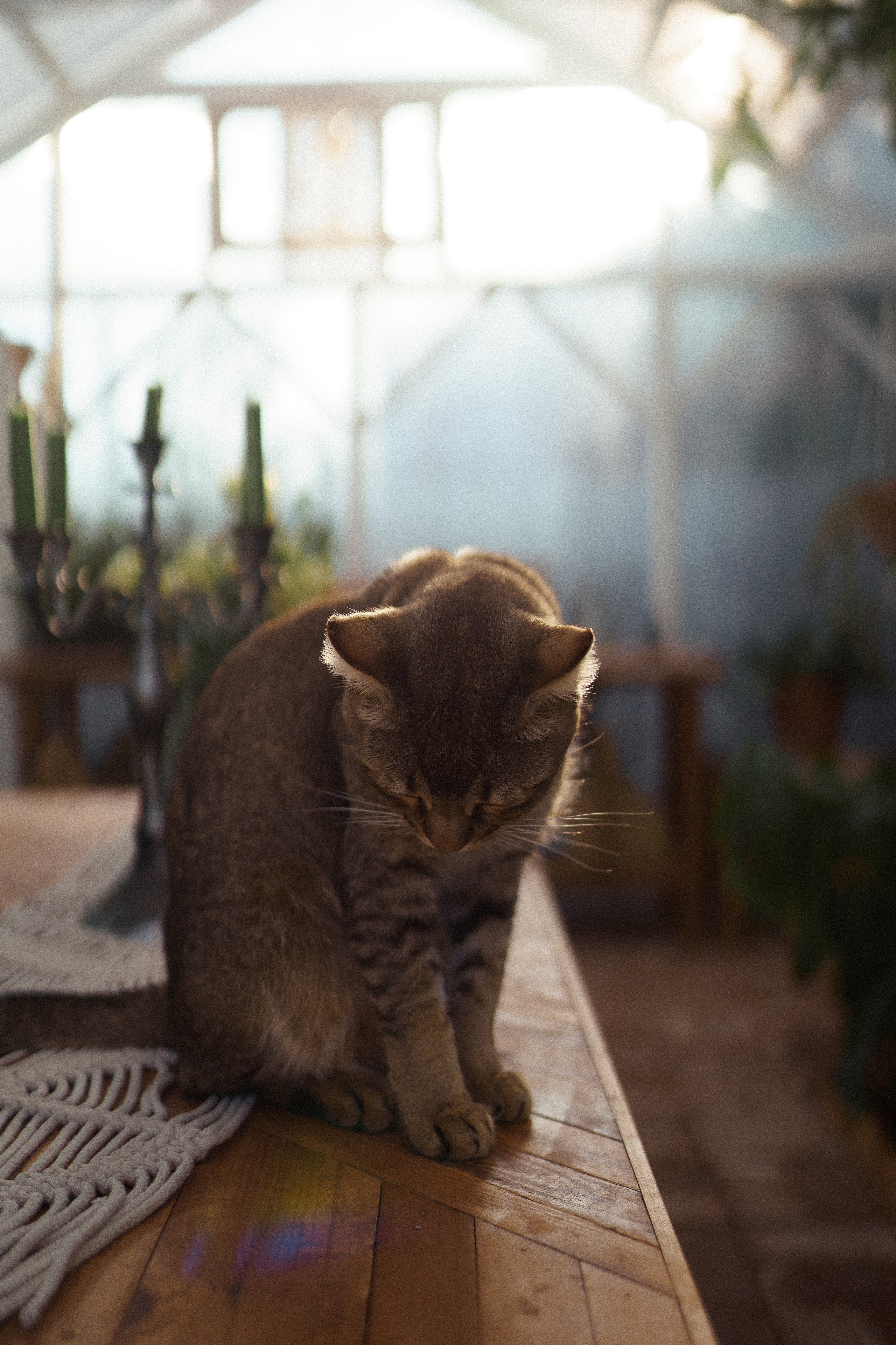 Кристина на даче. Семейный и детский фотограф в Краснодаре