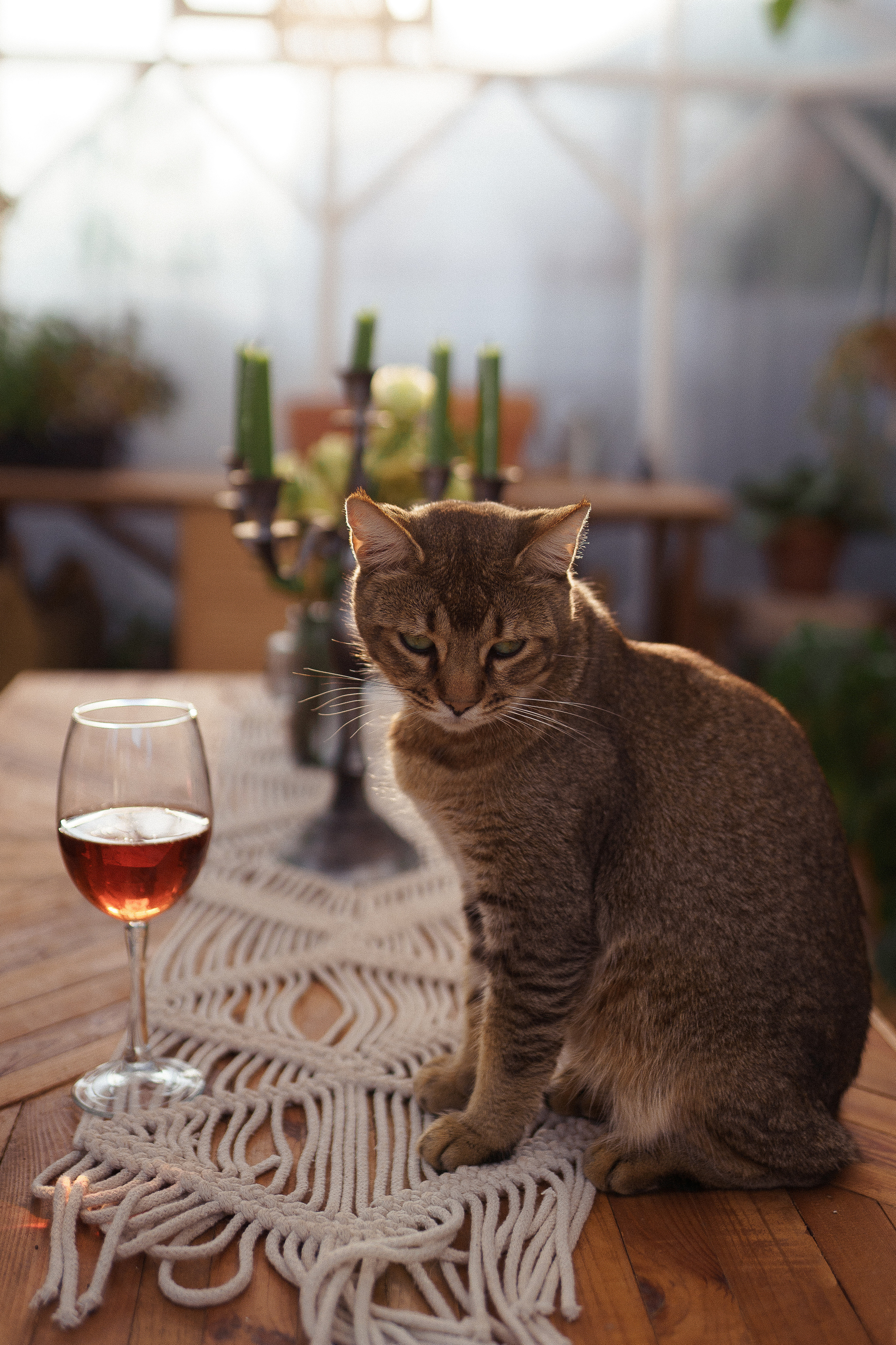 Кристина на даче. Семейный и детский фотограф в Краснодаре