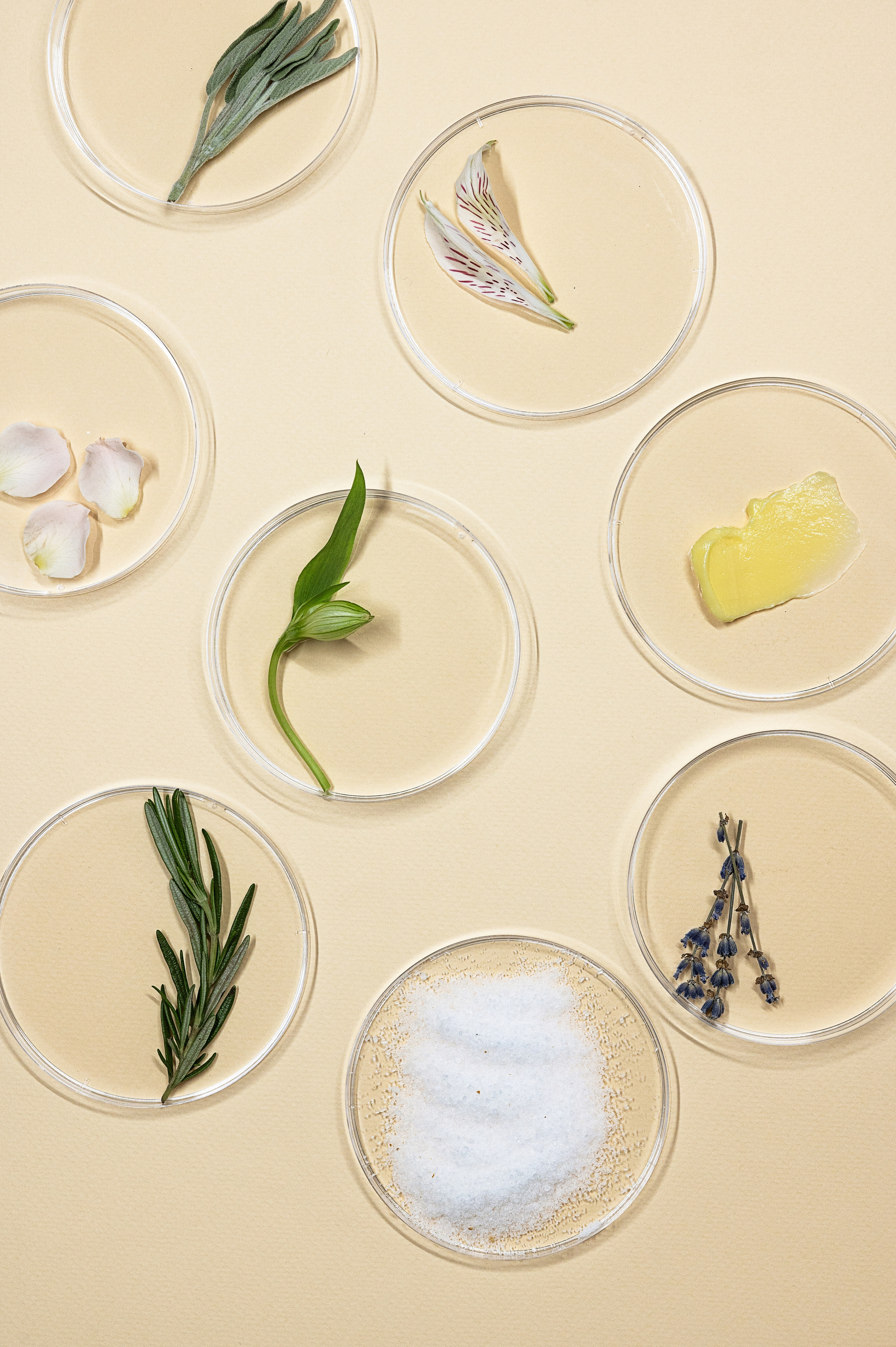 PRODUCT. Выпускные альбомы в современном стиле | Казань