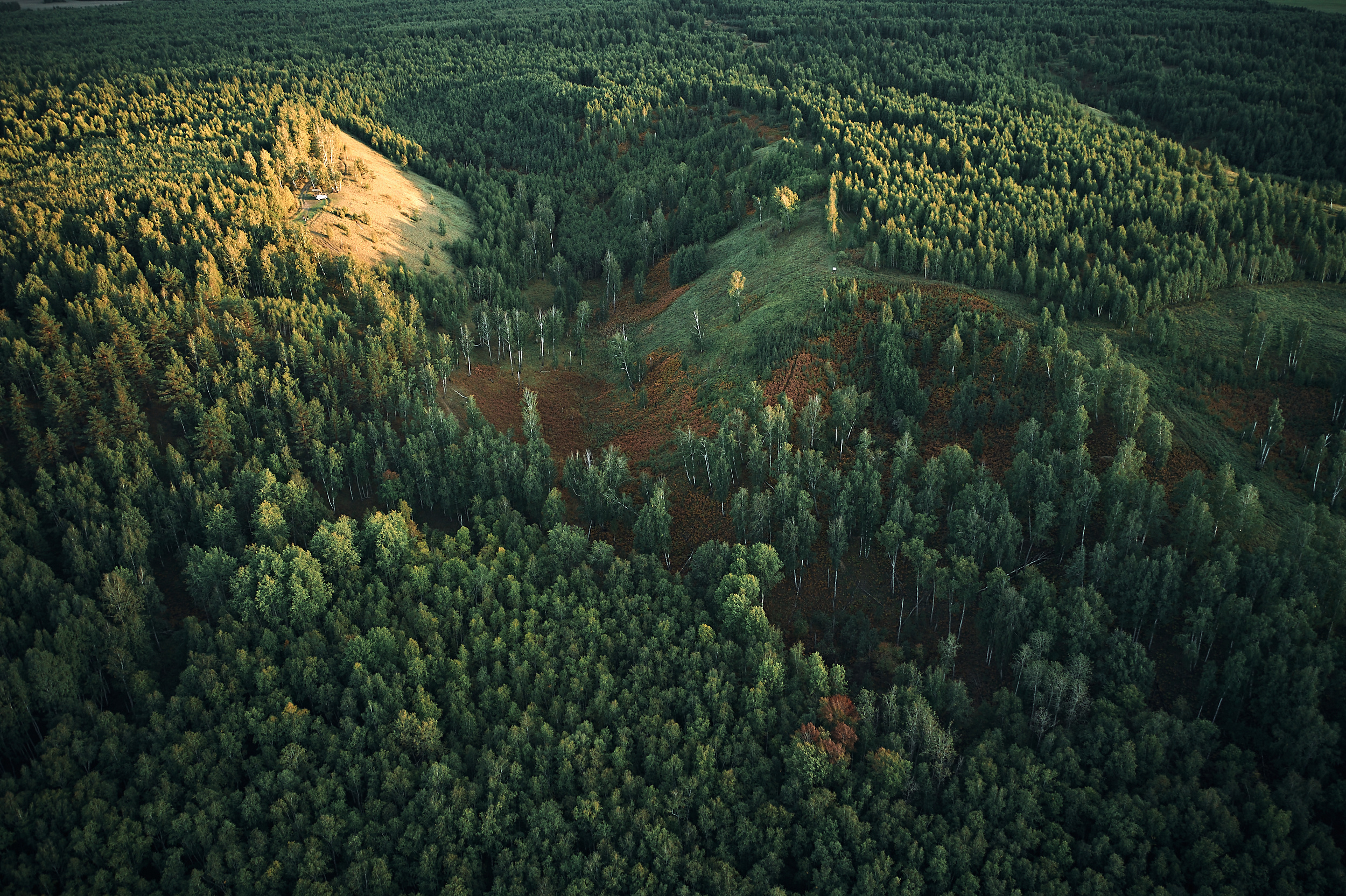 Марьино. Бизнес портрет Аэросъемка Интерьерная съемка Тюмень