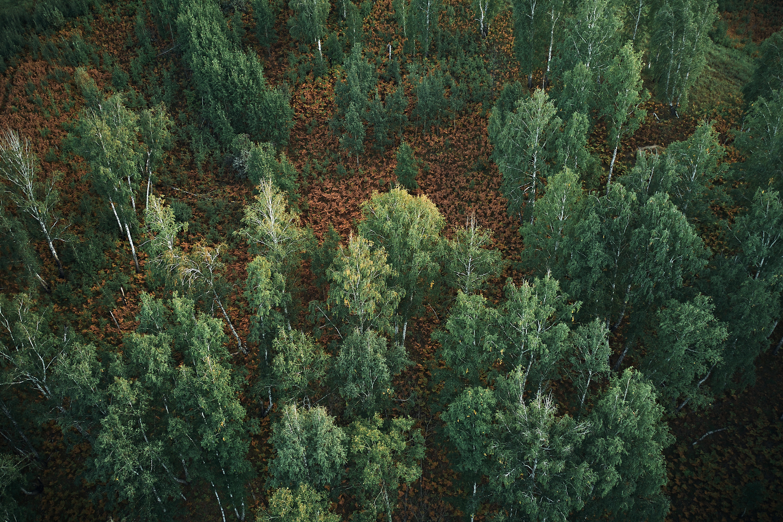 Марьино. Бизнес портрет Аэросъемка Интерьерная съемка Тюмень