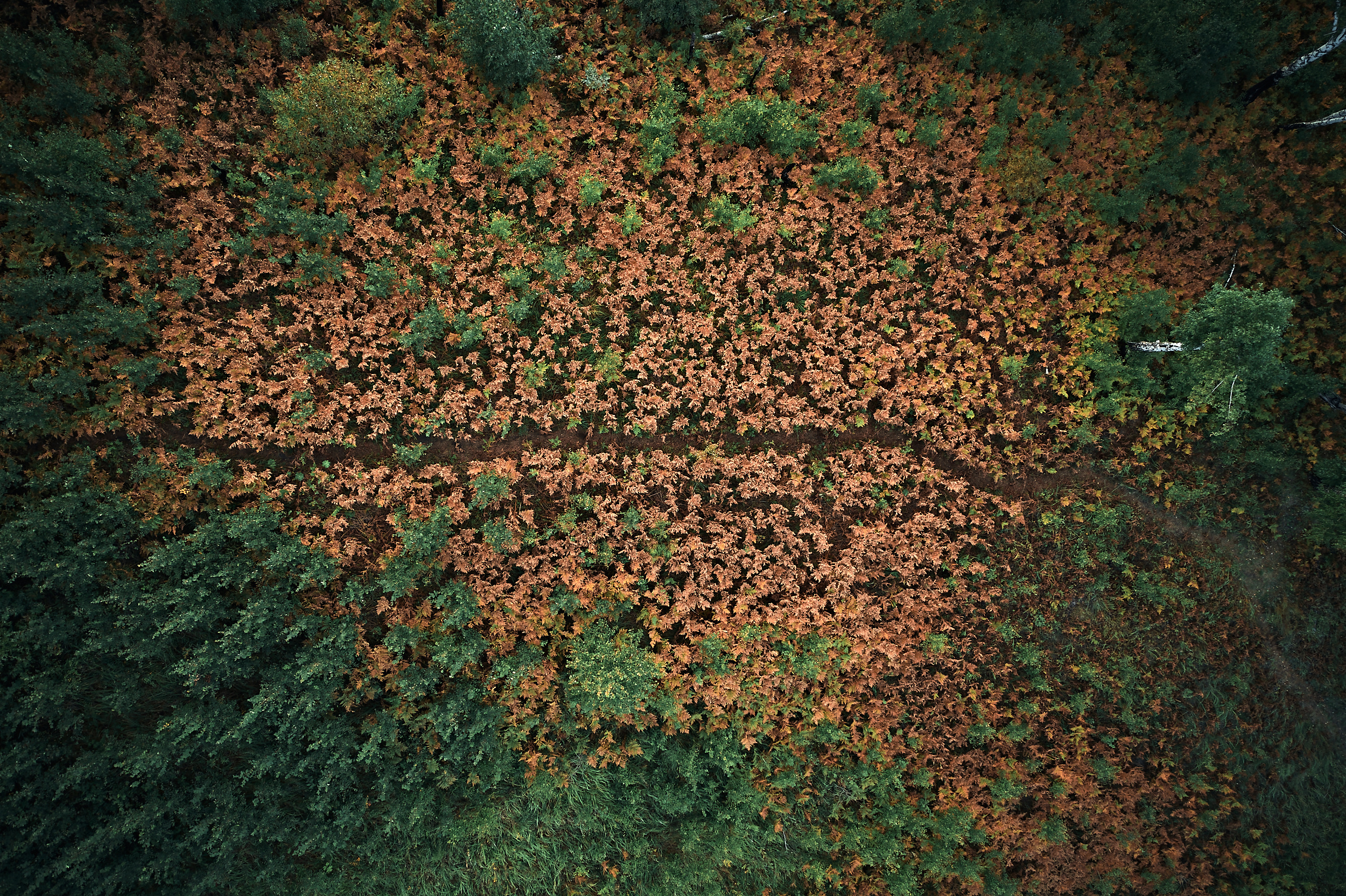 Марьино. Бизнес портрет Аэросъемка Интерьерная съемка Тюмень