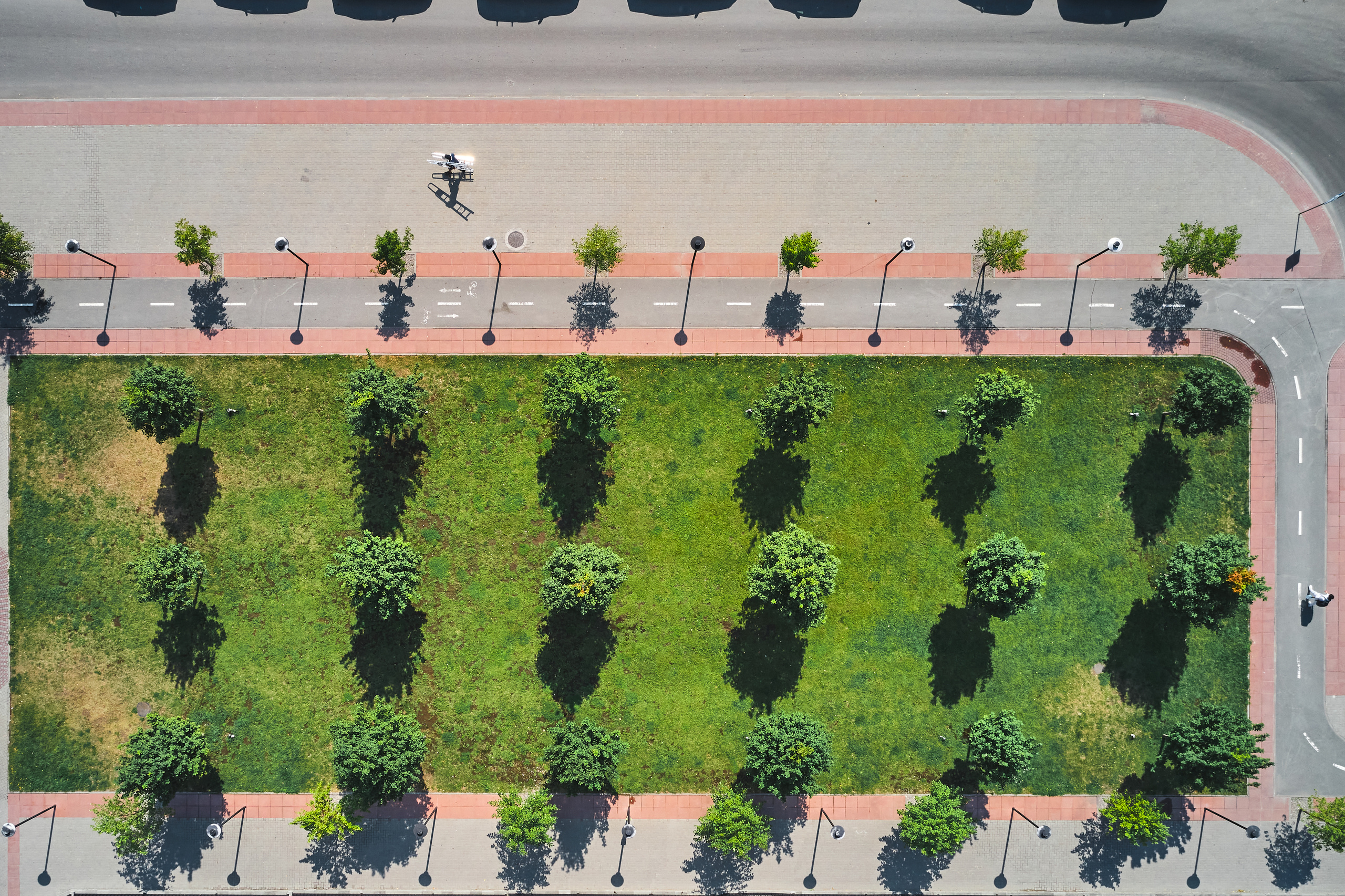 Европейский. Бизнес портрет Аэросъемка Интерьерная съемка Тюмень