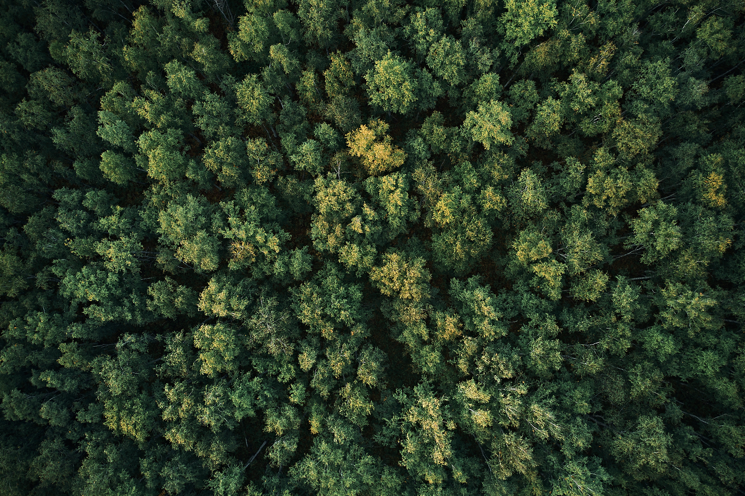 Марьино. Бизнес портрет Аэросъемка Интерьерная съемка Тюмень