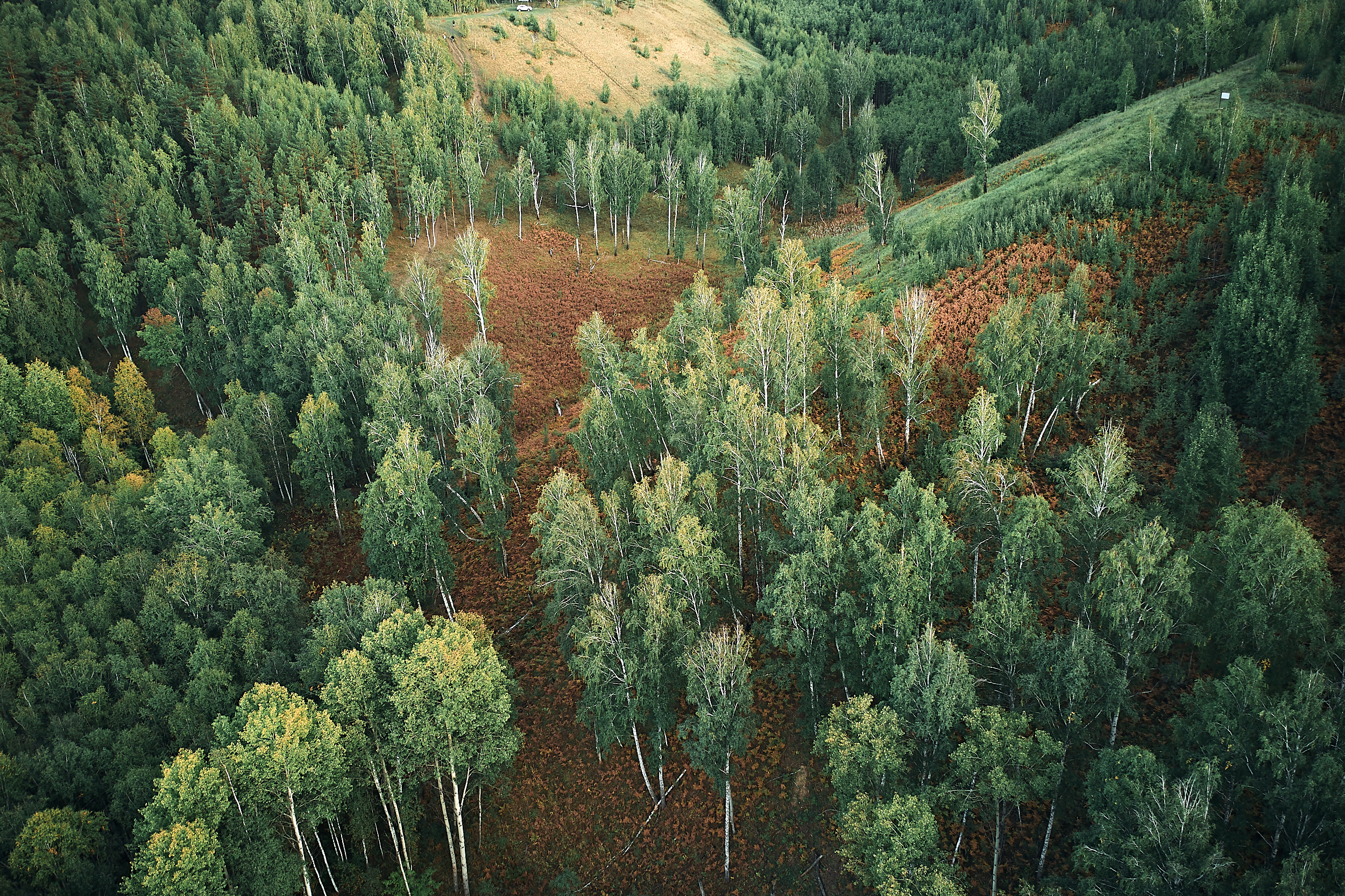 Марьино. Бизнес портрет Аэросъемка Интерьерная съемка Тюмень