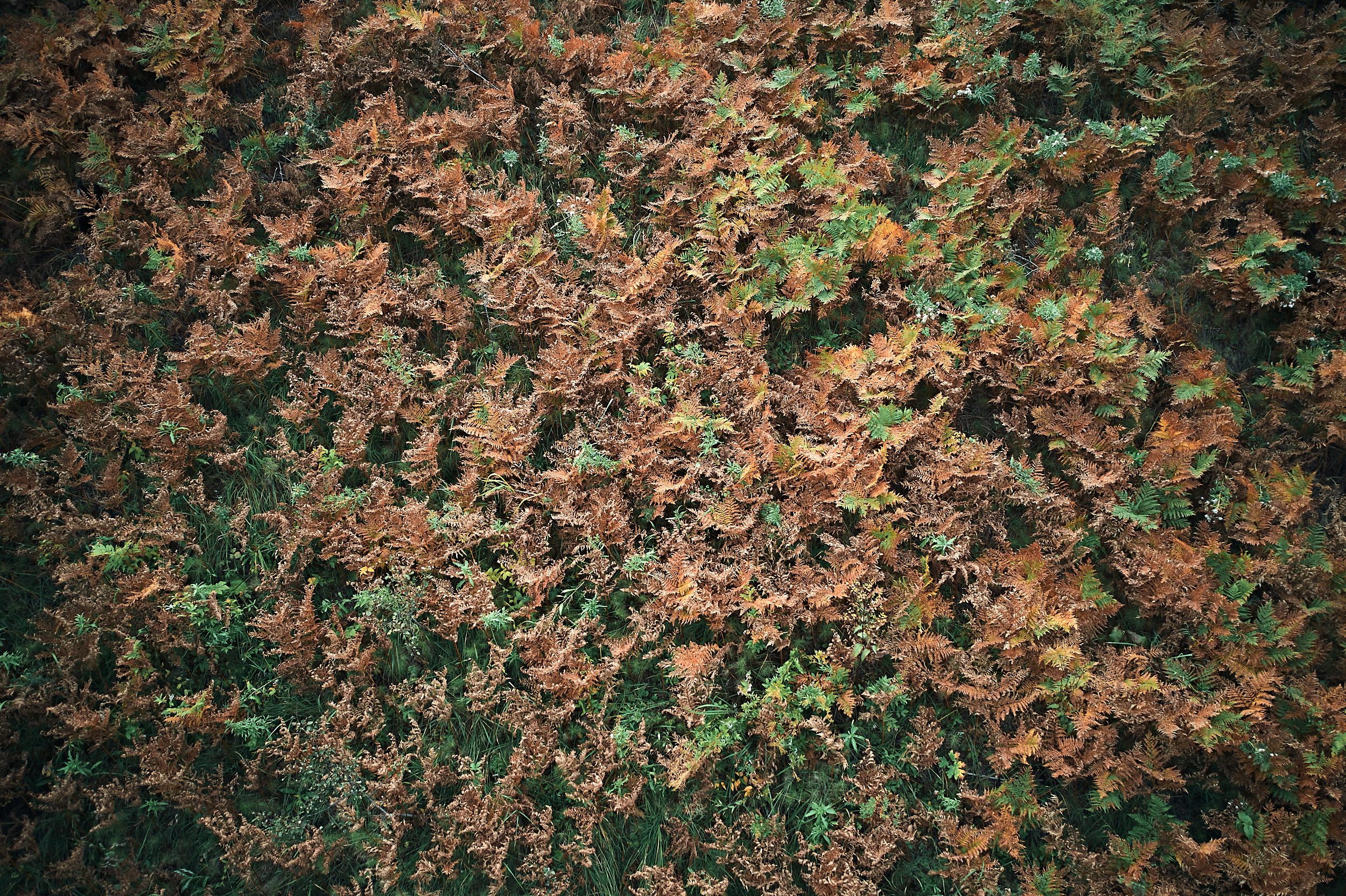 Марьино. Бизнес портрет Аэросъемка Интерьерная съемка Тюмень