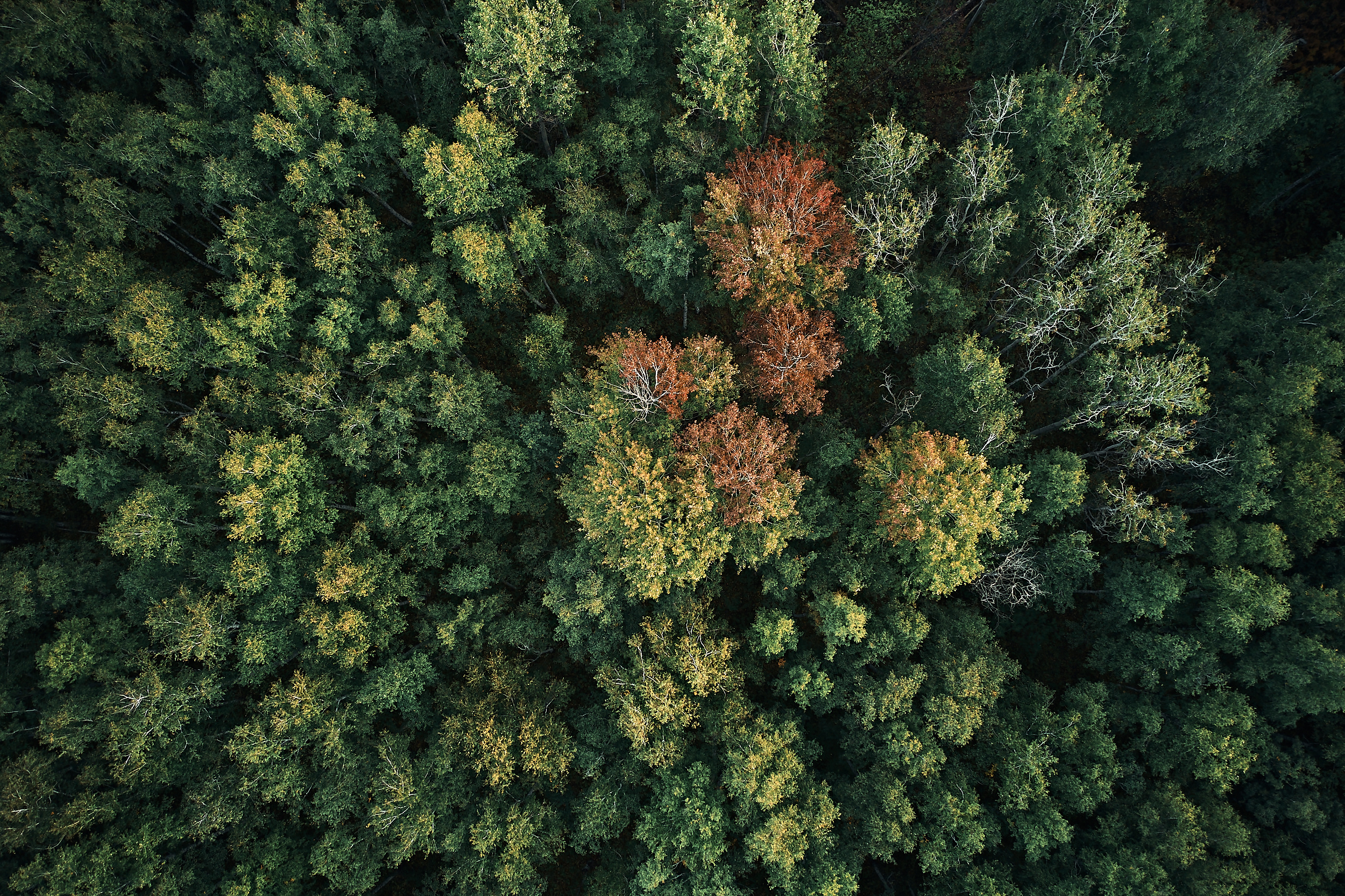 Марьино. Бизнес портрет Аэросъемка Интерьерная съемка Тюмень