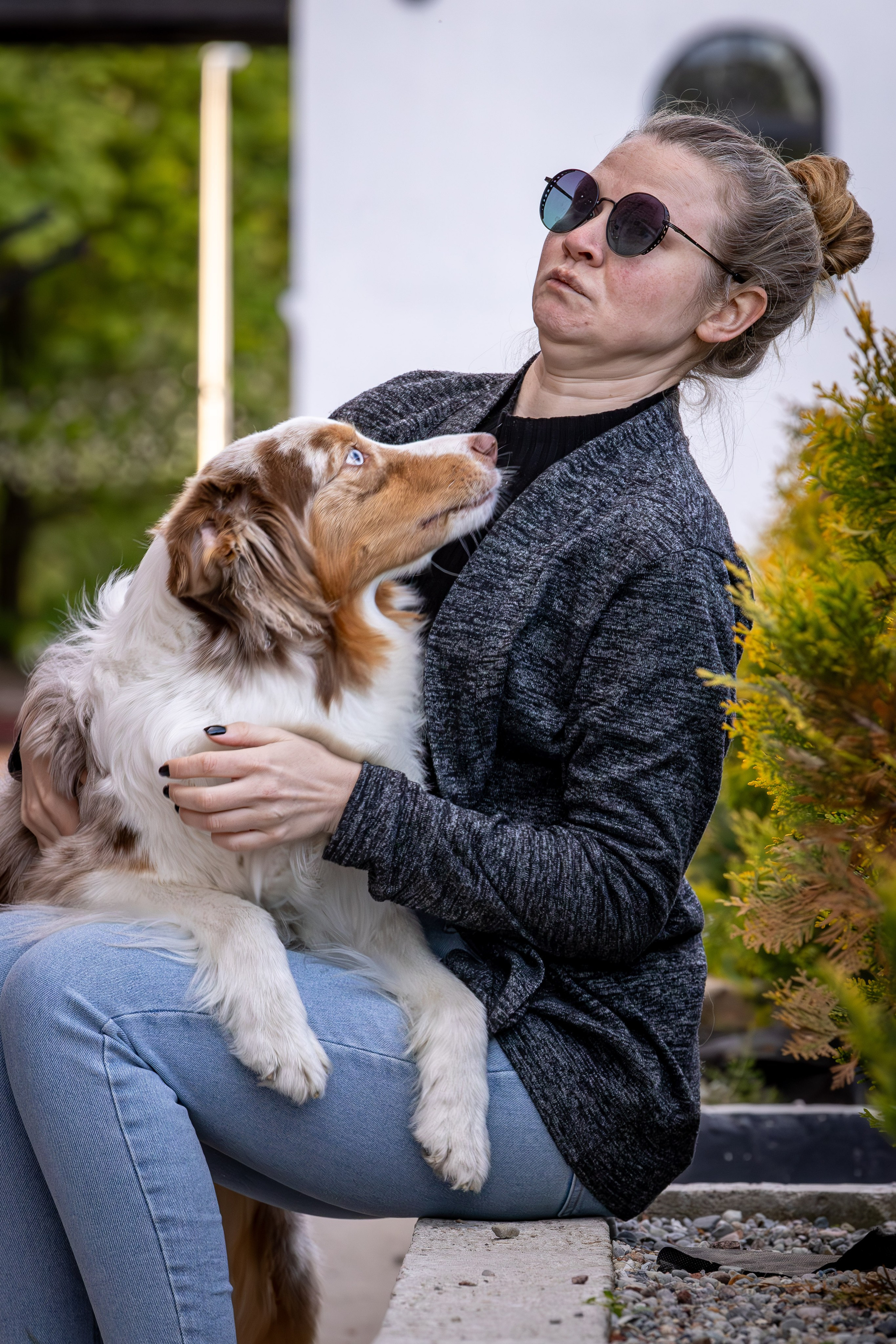 Полли, Австралийская Овчарка. Ирина Голомб|Фотограф-анималист в  Сочи и Калининграде