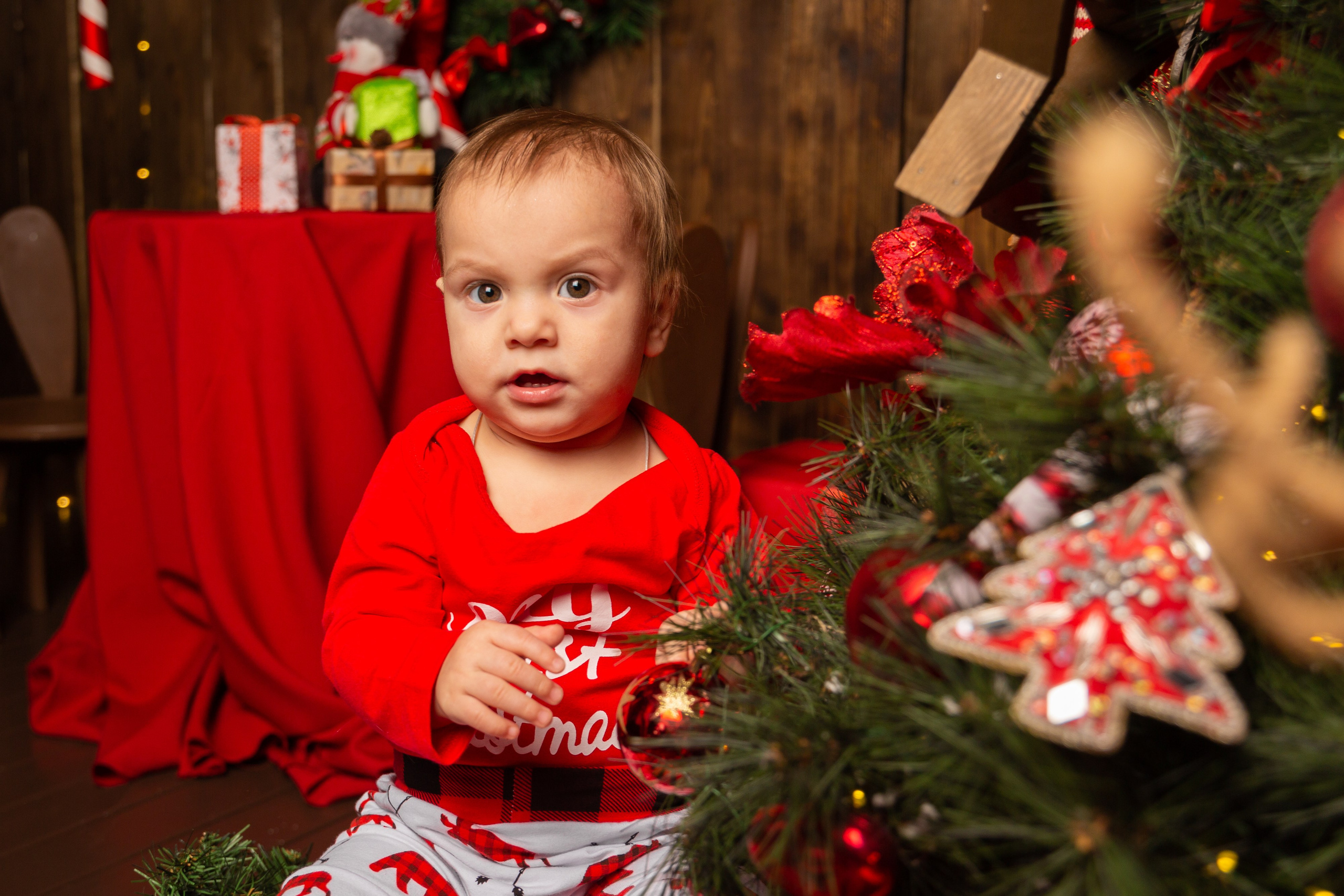 Семейные. Фотограф Комаров Сергей