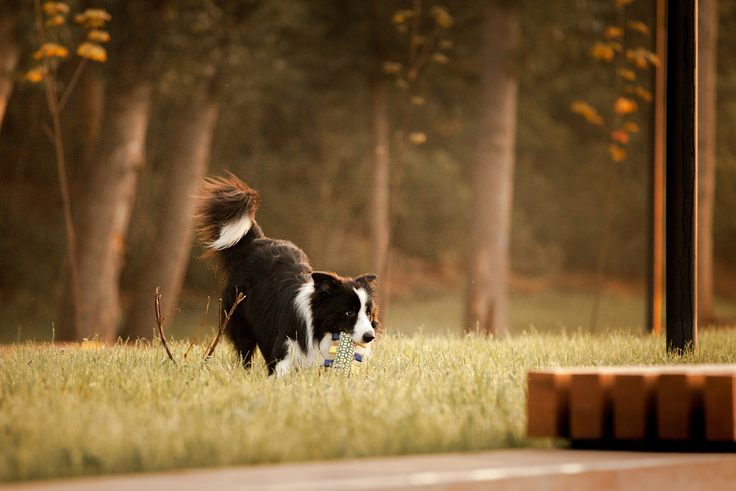 Сочный рассвет, на который решились. О нас