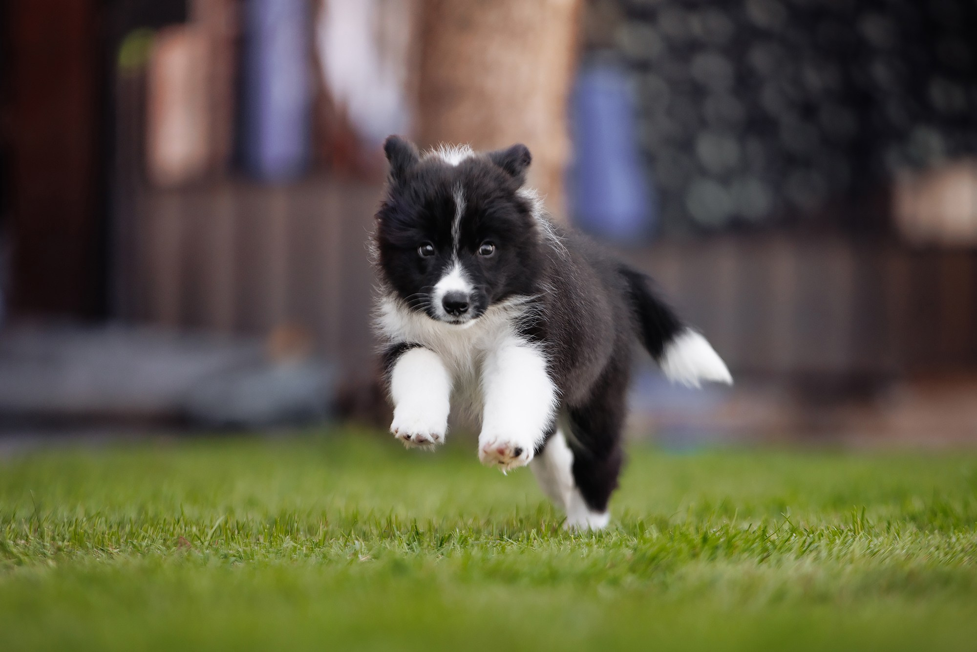 Трава у дома. О нас