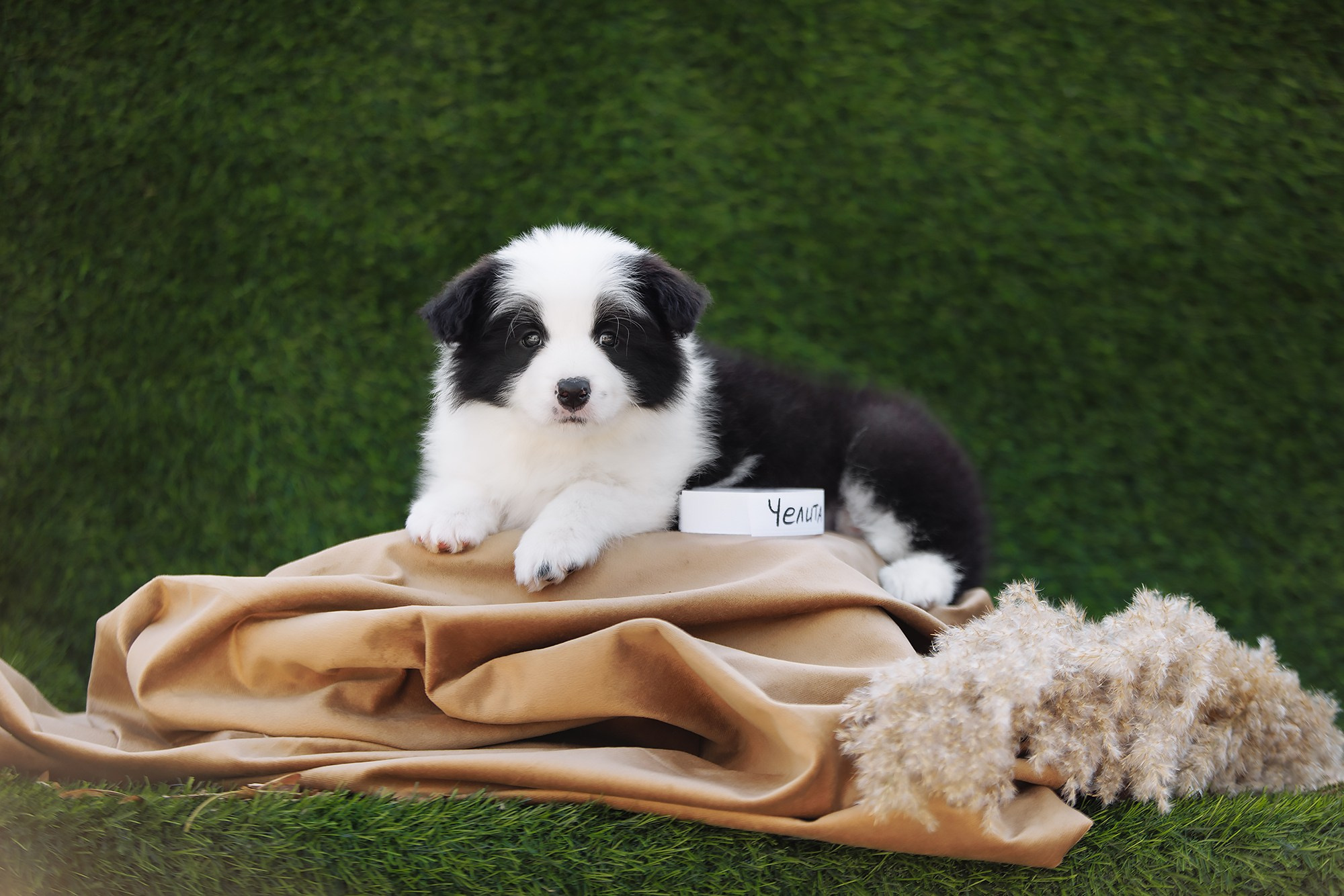 Новый лист. О нас