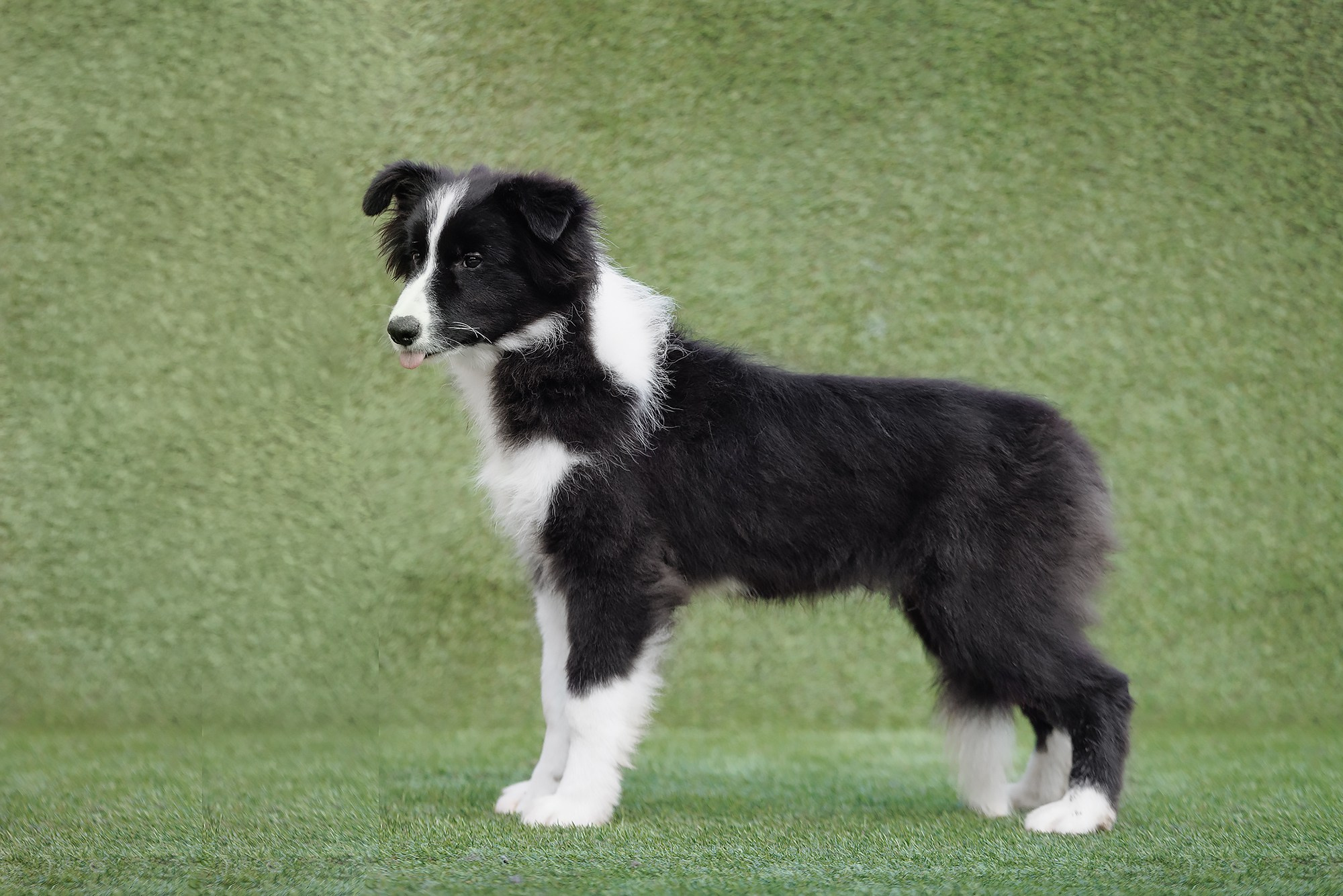 Трава у дома. О нас