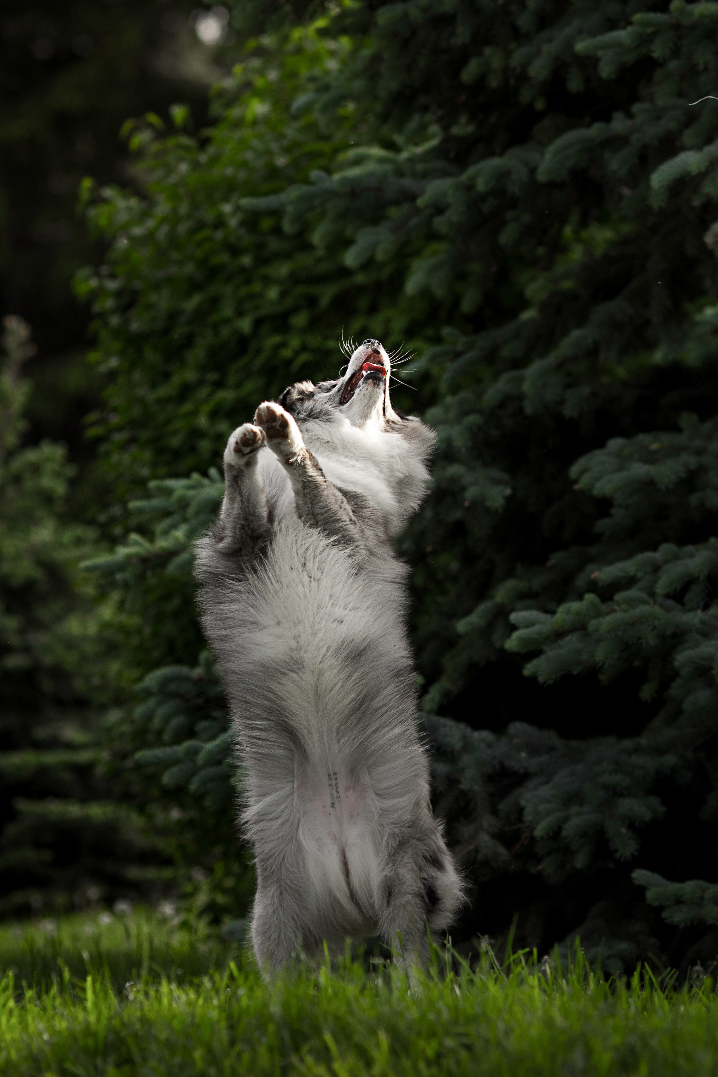 Роскошь в ростошах. О нас