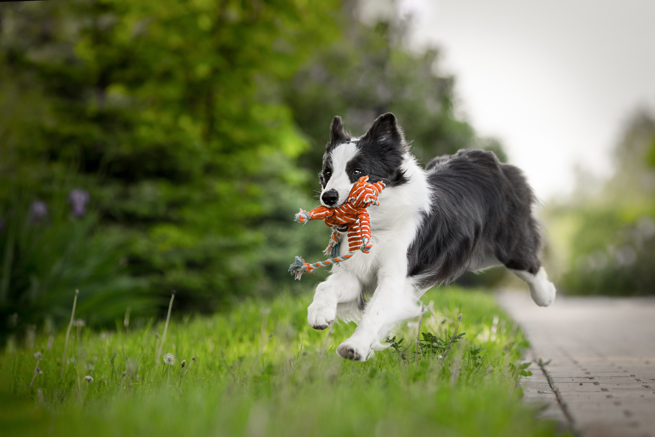 Роскошь в ростошах. О нас