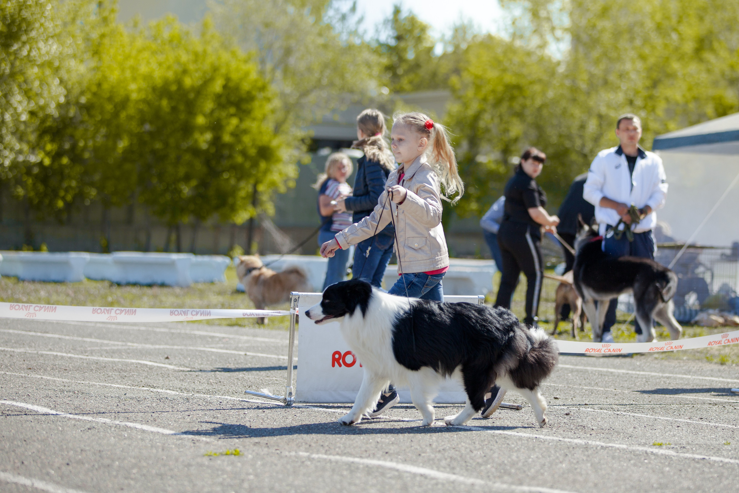 Зеленое в Оренбурге 19. О нас