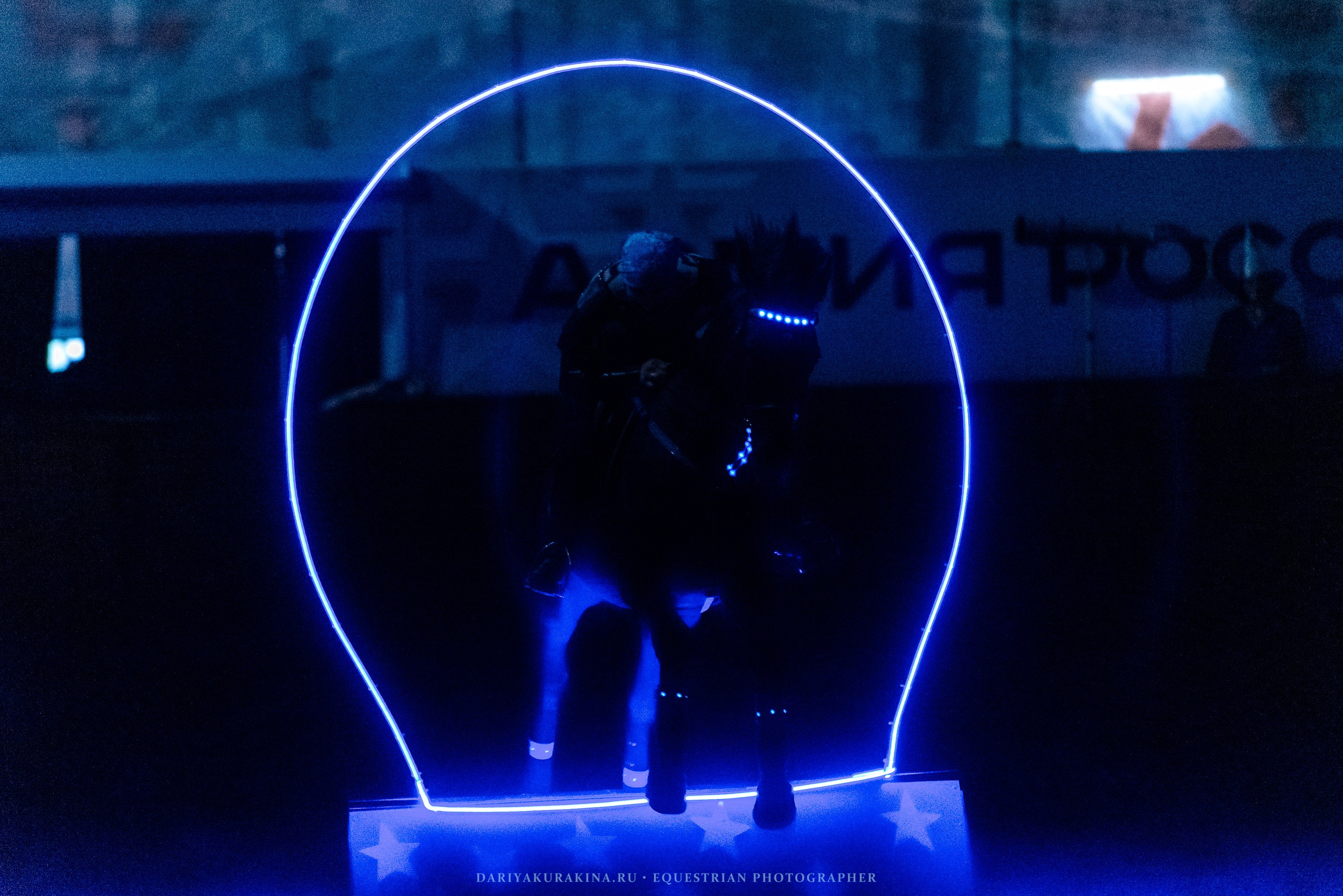 Конное представление «Дыхание Звёзд». Конный фотограф Куракина Дарья • Фотосессии с лошадьми
