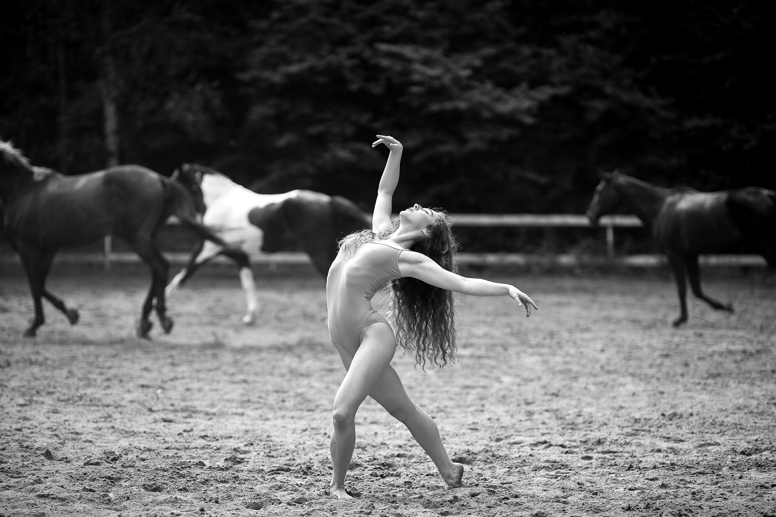 Фотопроекты и съемки на природе, с лошадьми, самолетами и авто. Выездная фотосессия. Фотограф, фотопроекты Михаила Семенова в Ярославле. Фотошкола