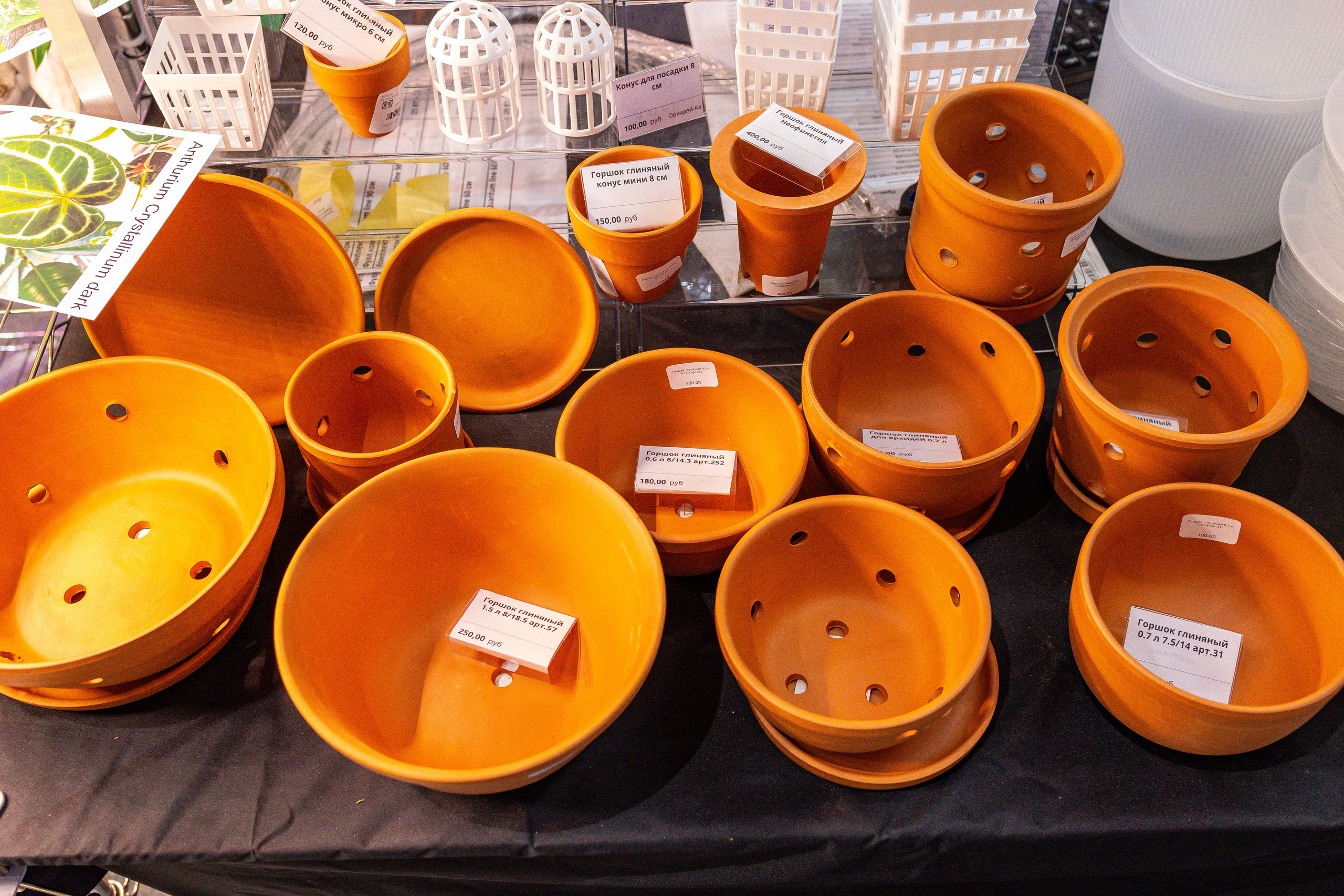 Монстериум 11–12 октября. Александра Куликова фотограф, Москва