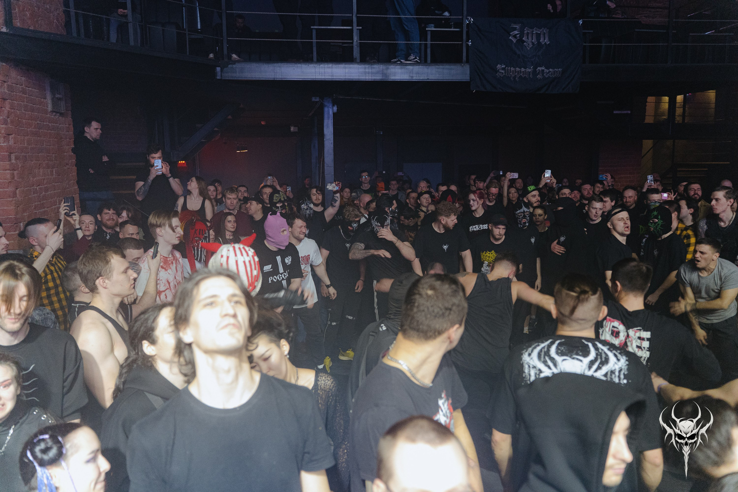 Dexdbell. Рассвет. 01.03.2026. Главная