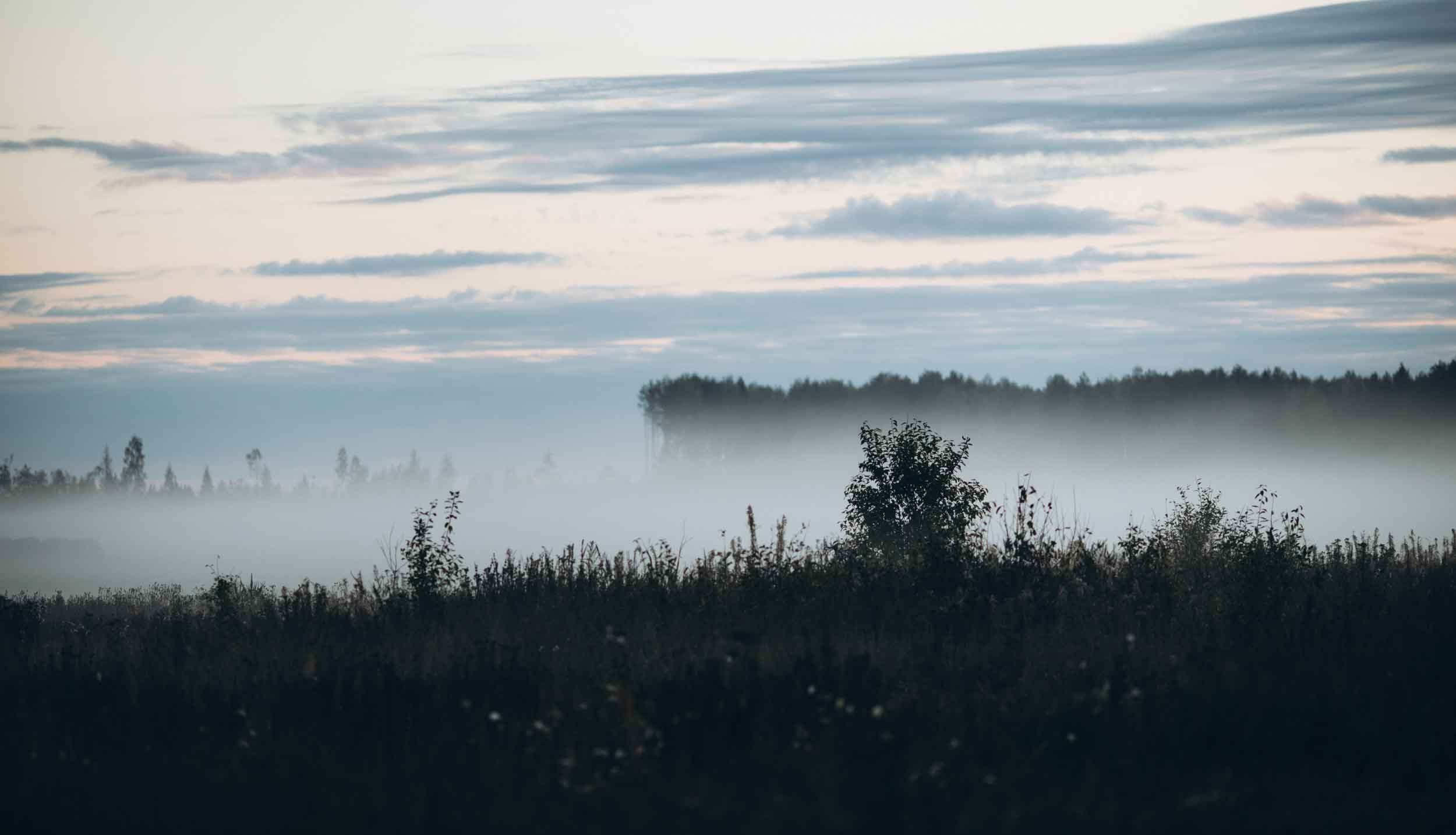 Природные пейзажи. Наталия Клевинскас портретный фотограф в Костроме