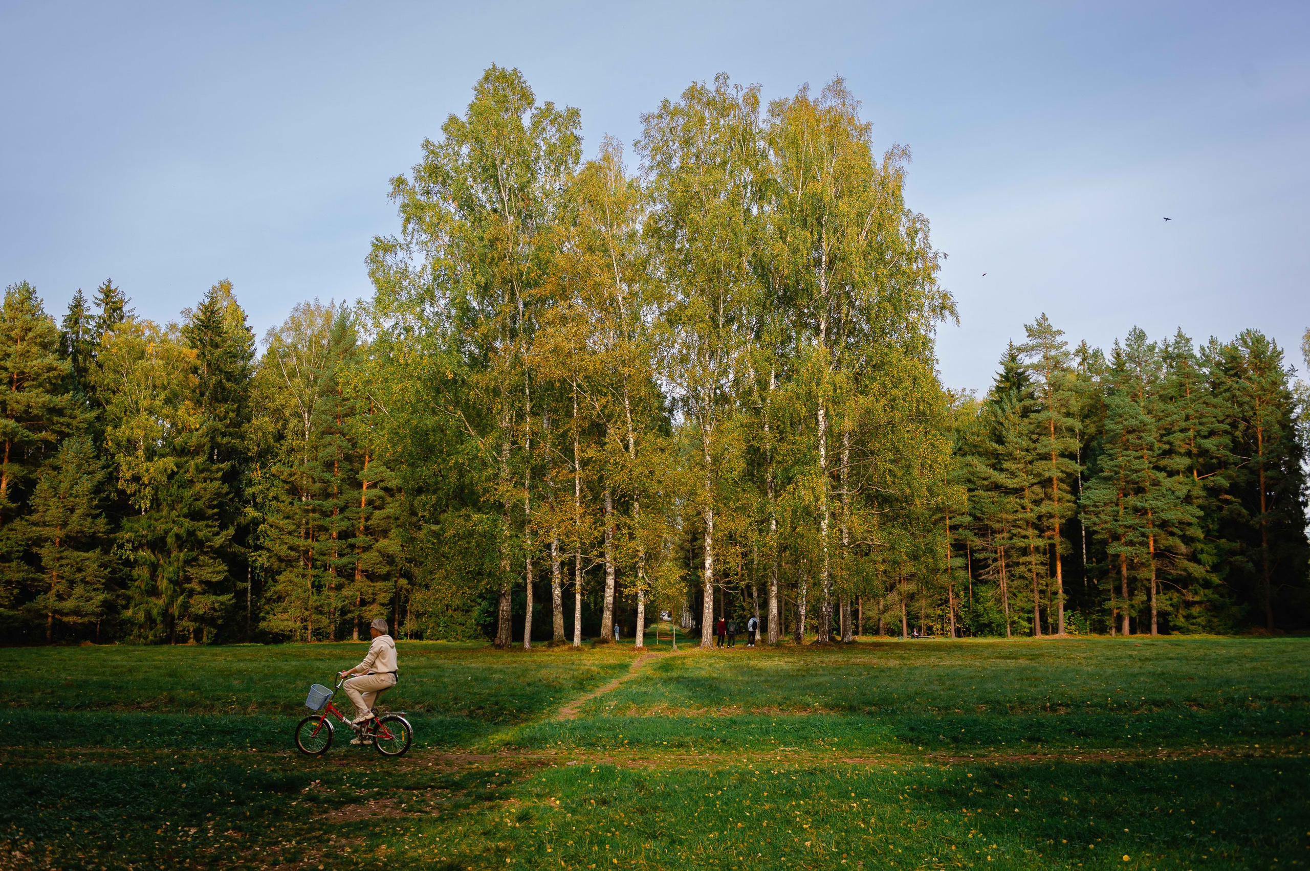 2023.09. Фотограф Алексей Алексеев