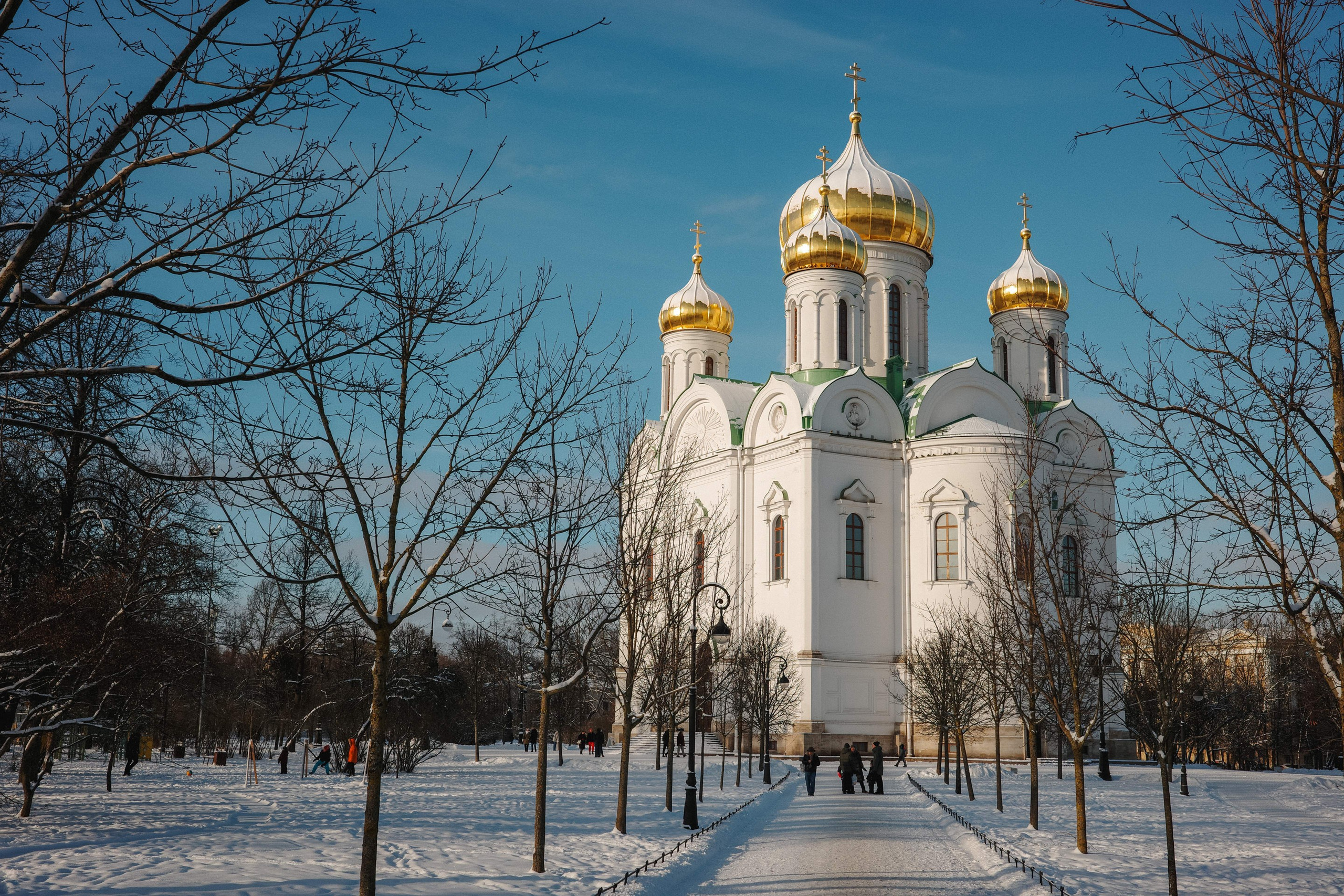 2025.02. Фотограф Алексей Алексеев