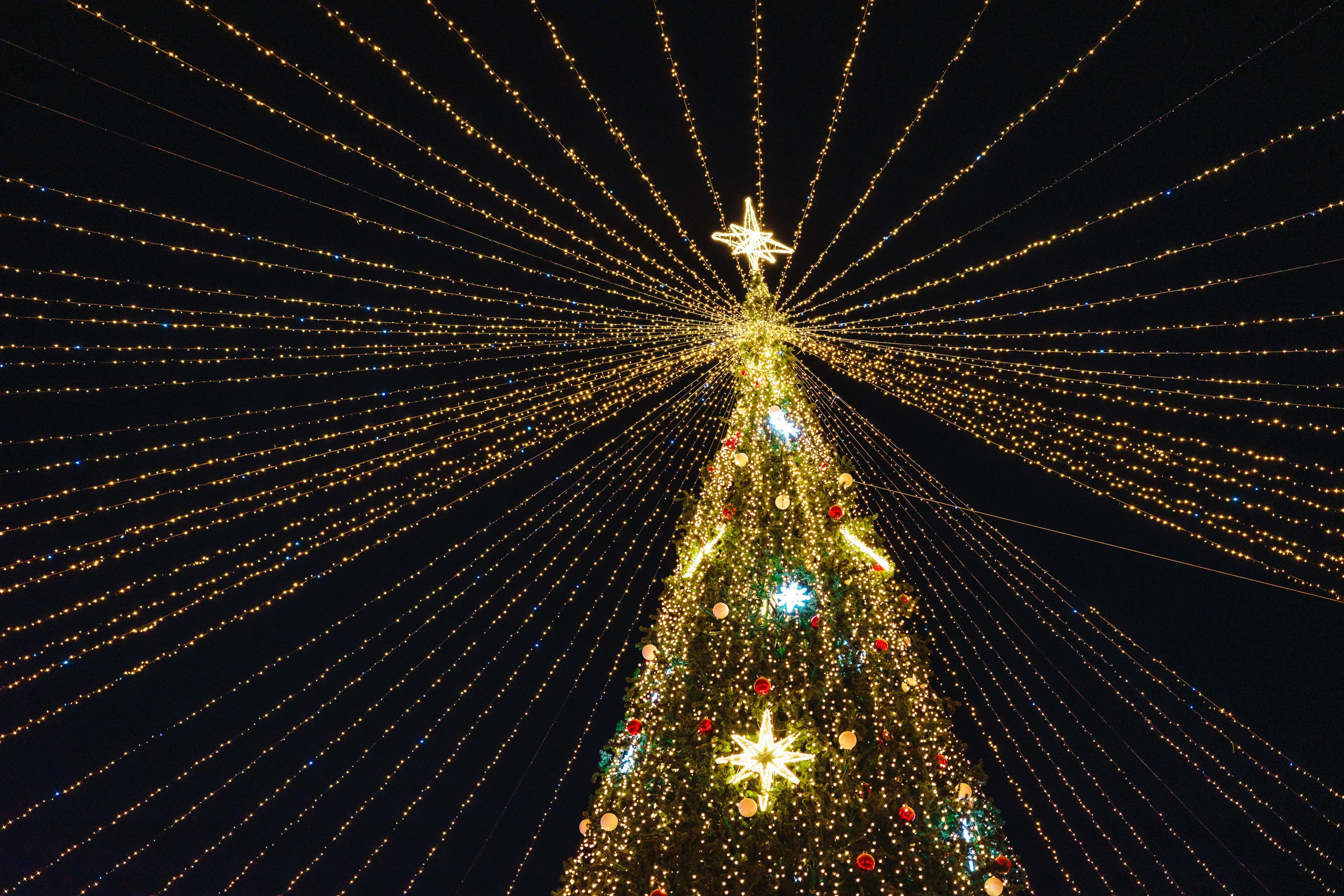 2024.01. Фотограф Алексей Алексеев