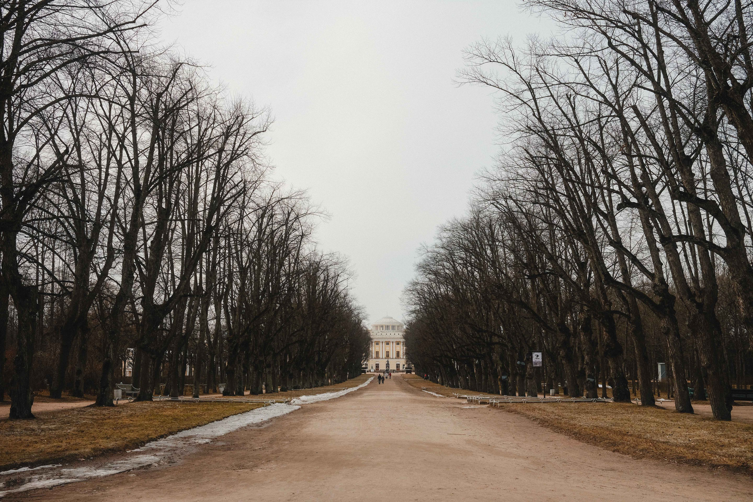 2023.04. Фотограф Алексей Алексеев