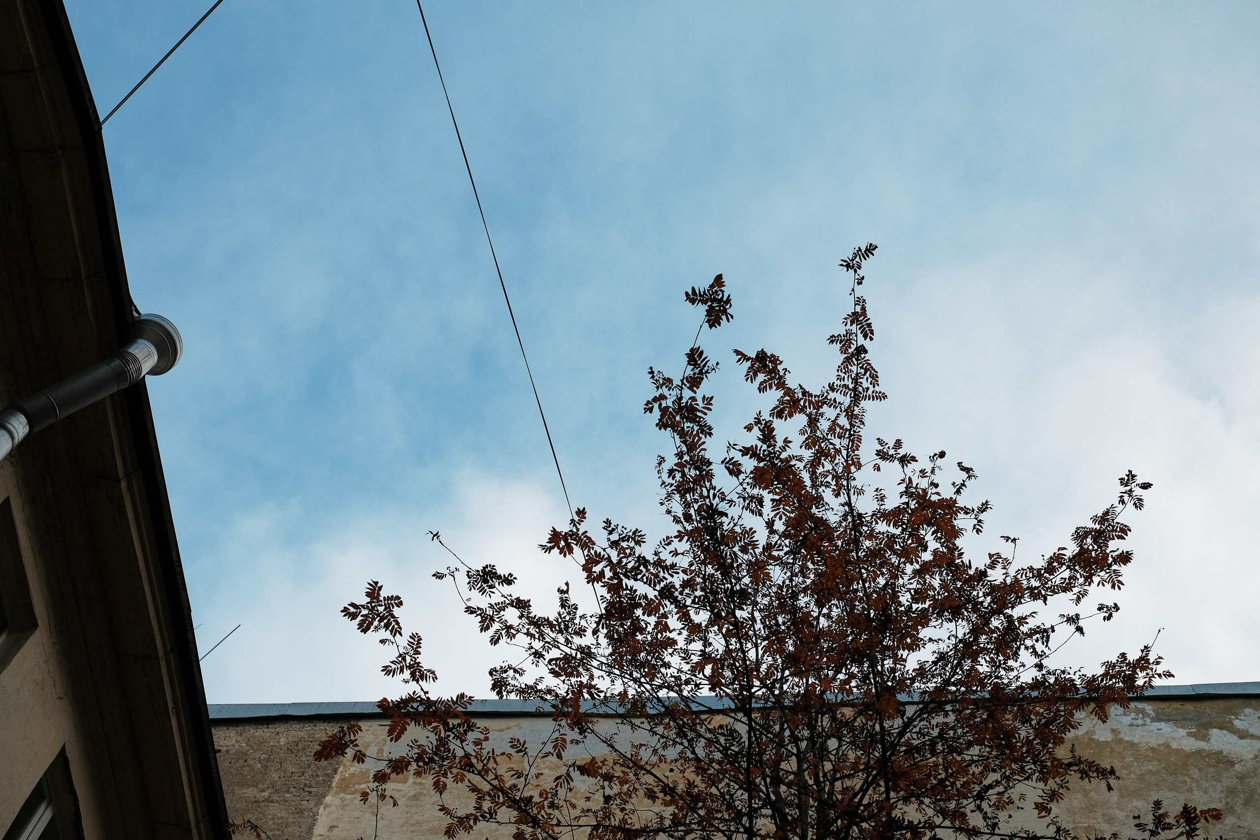 2021.10. Фотограф Алексей Алексеев