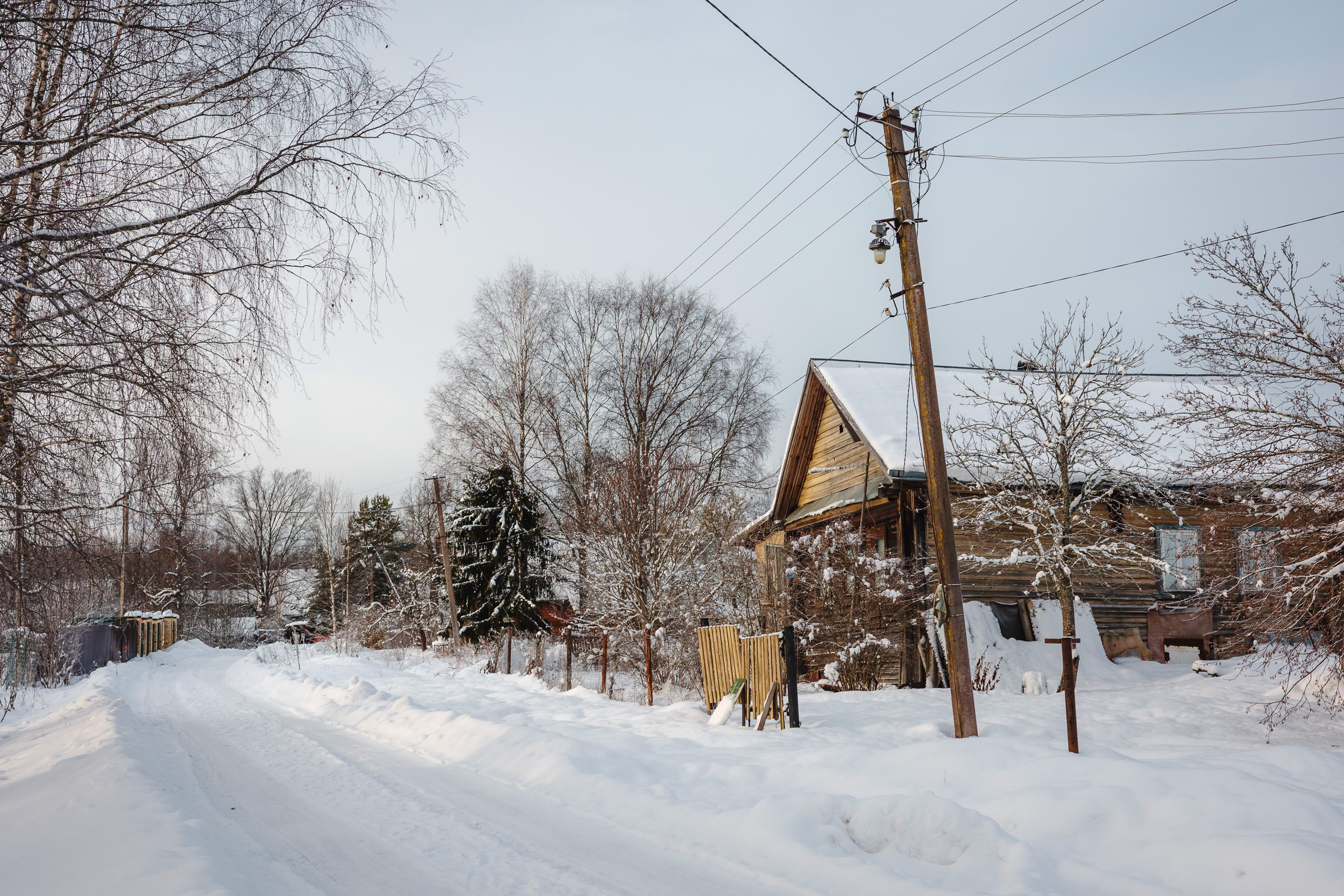 2024.01. Фотограф Алексей Алексеев