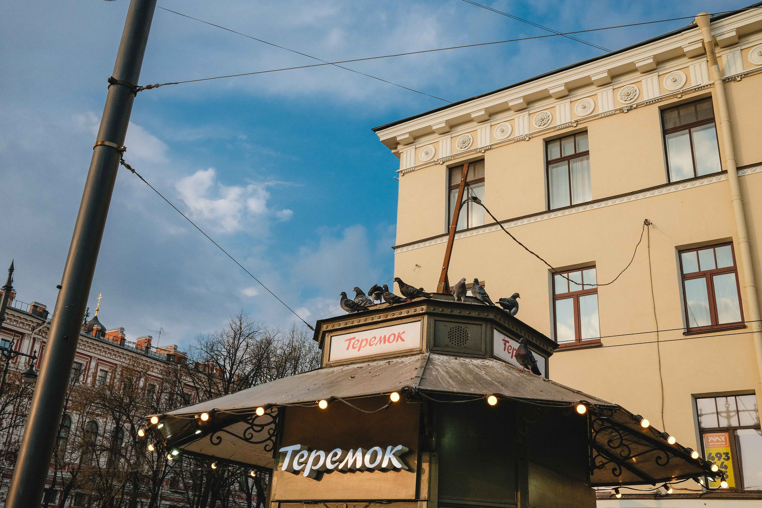 2023.04. Фотограф Алексей Алексеев